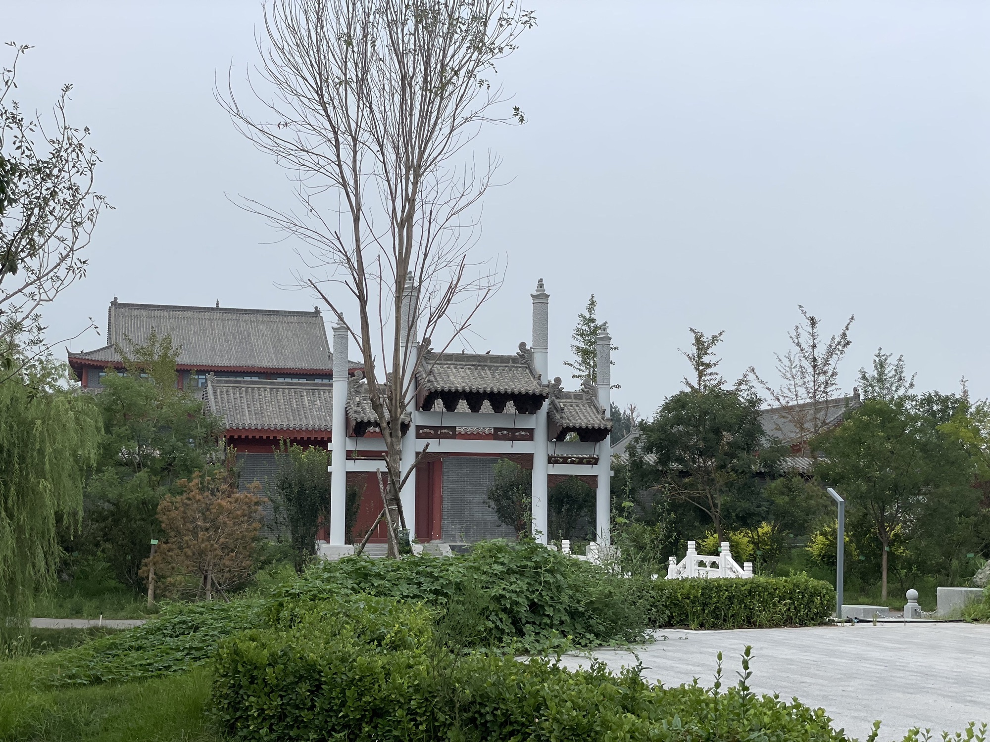 观津公园旅行图片 2