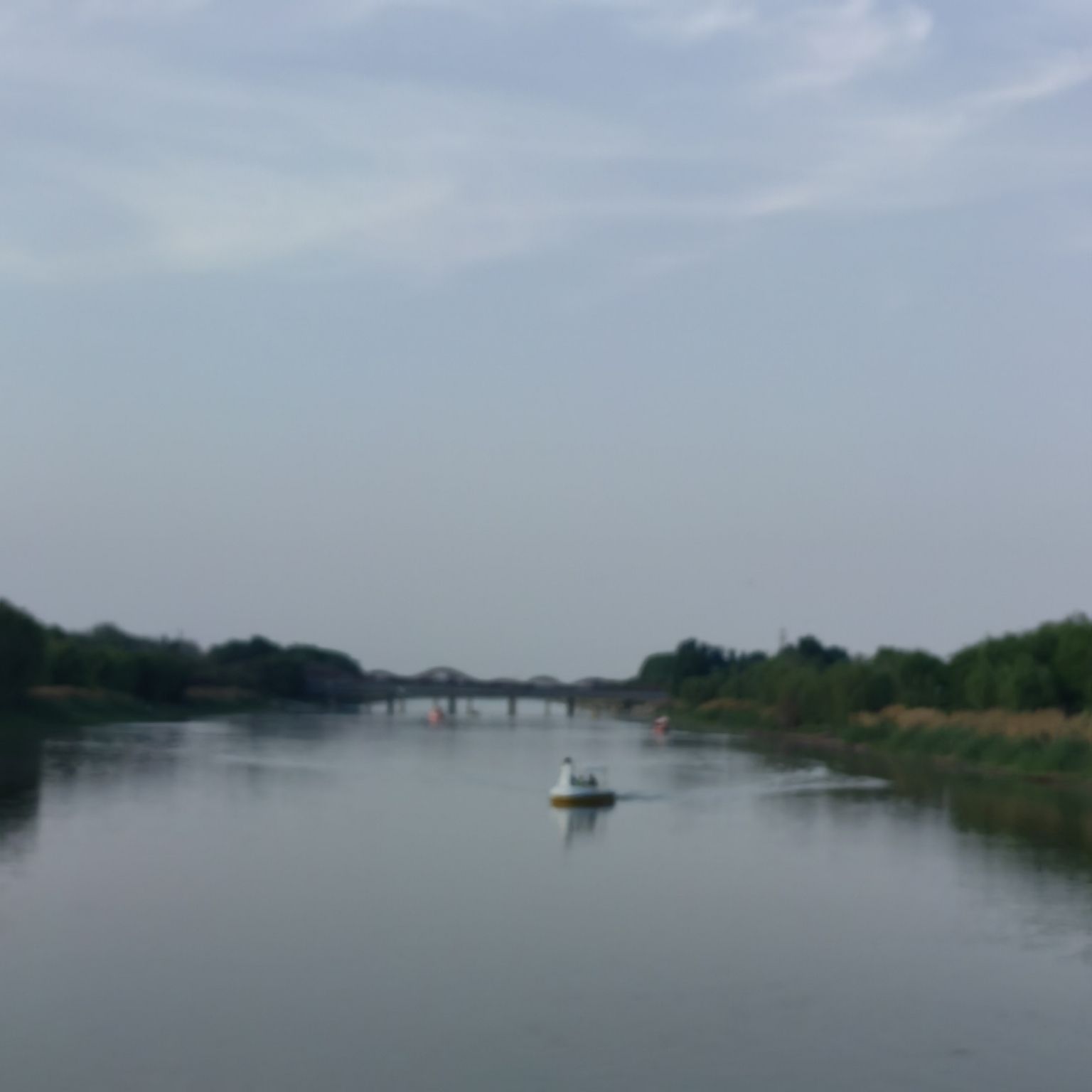 观津公园旅行图片 1