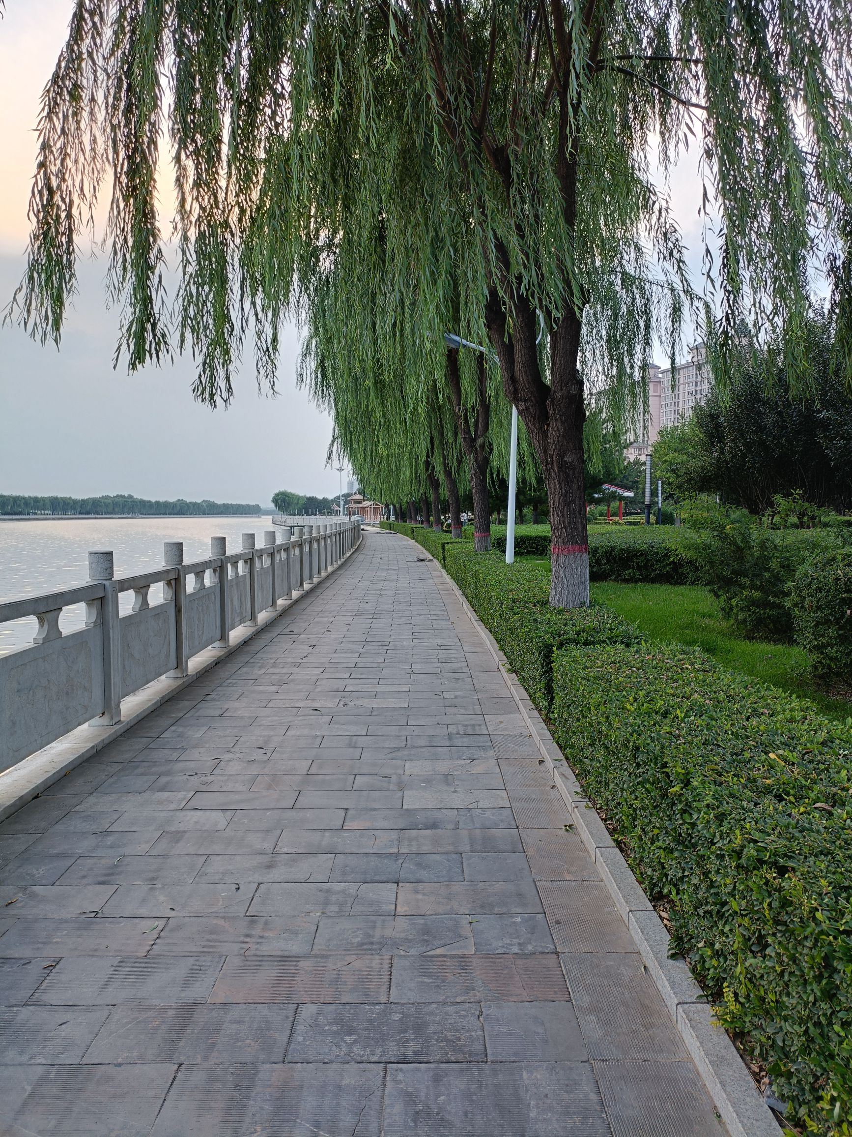 滨河公园旅行图片 3
