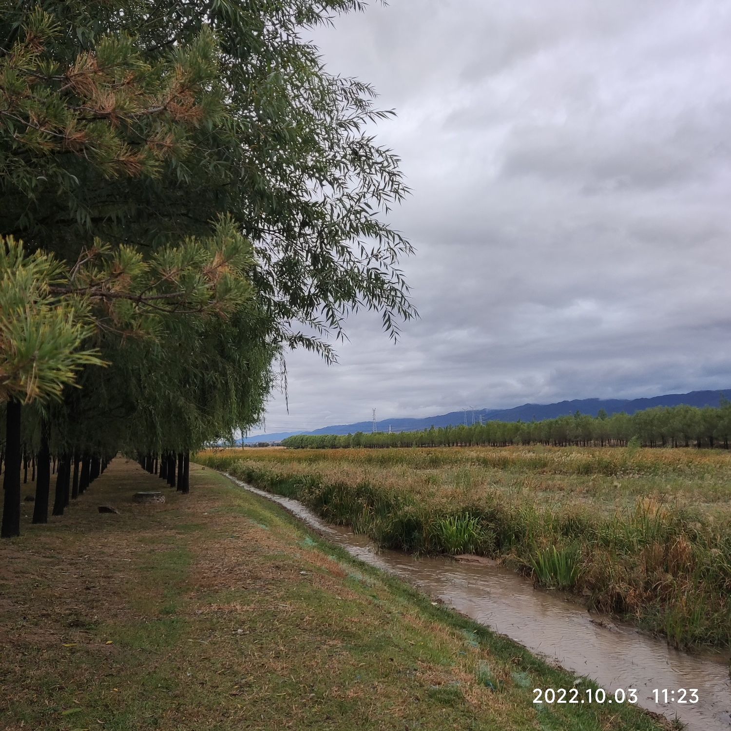 滨河公园旅行图片 2
