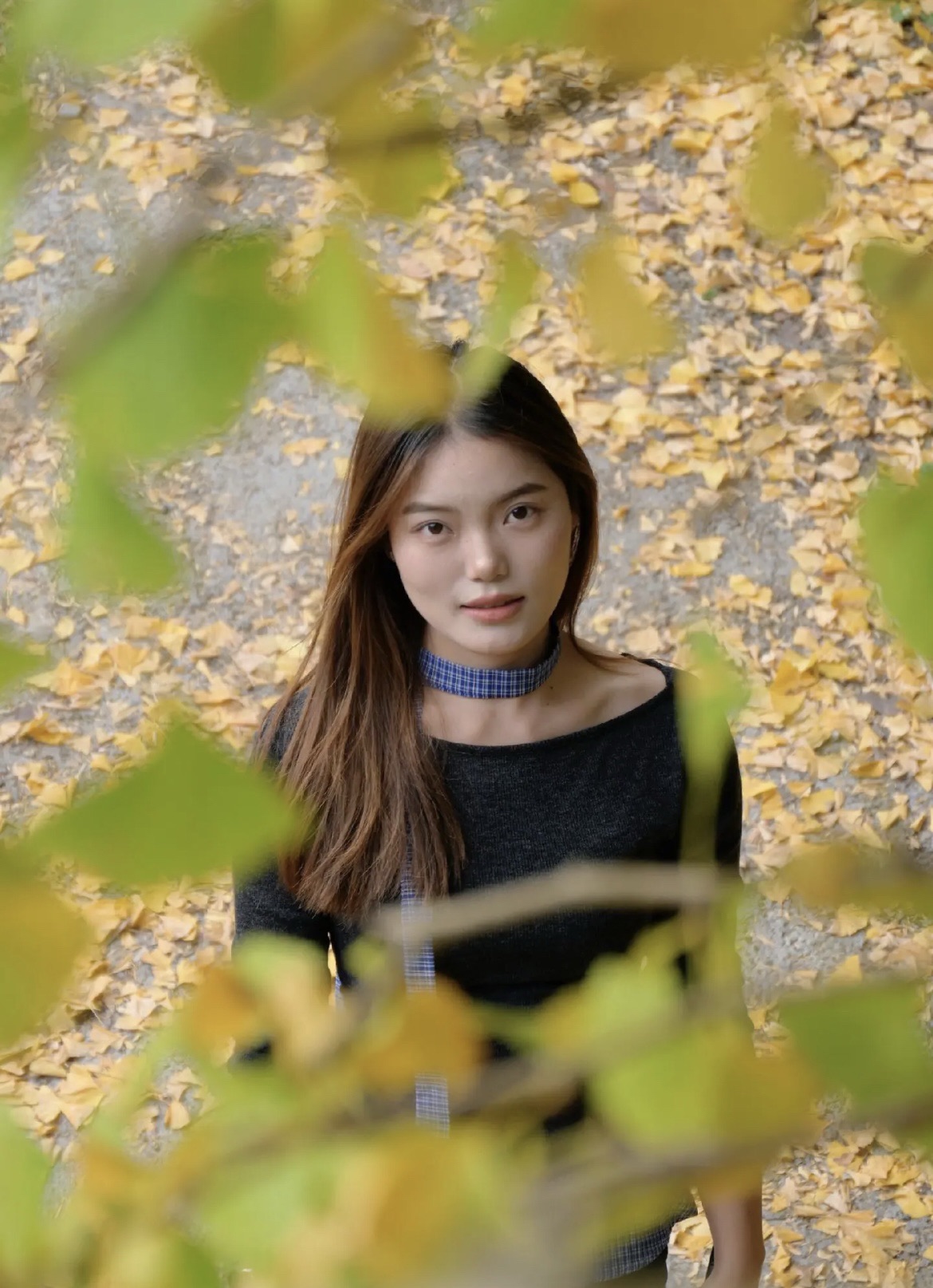 黄连村百年银杏林旅行图片 3