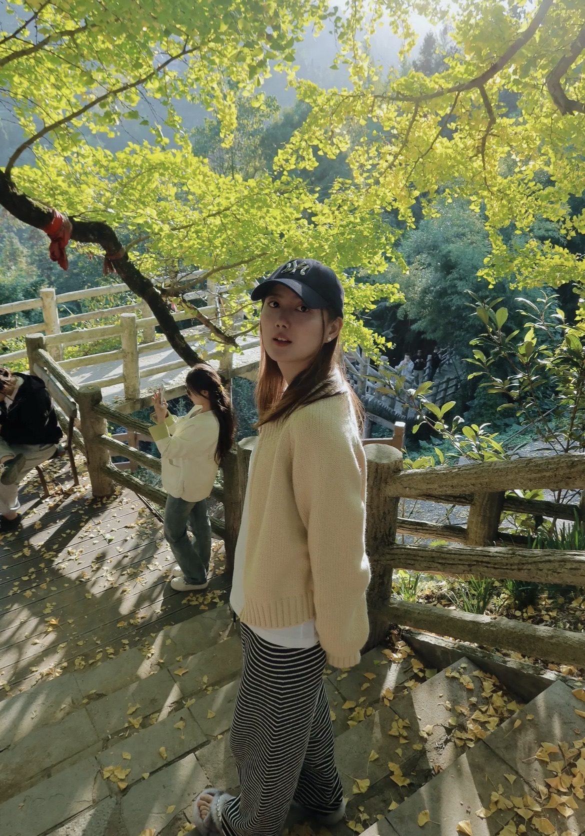黄连村百年银杏林旅行图片 2