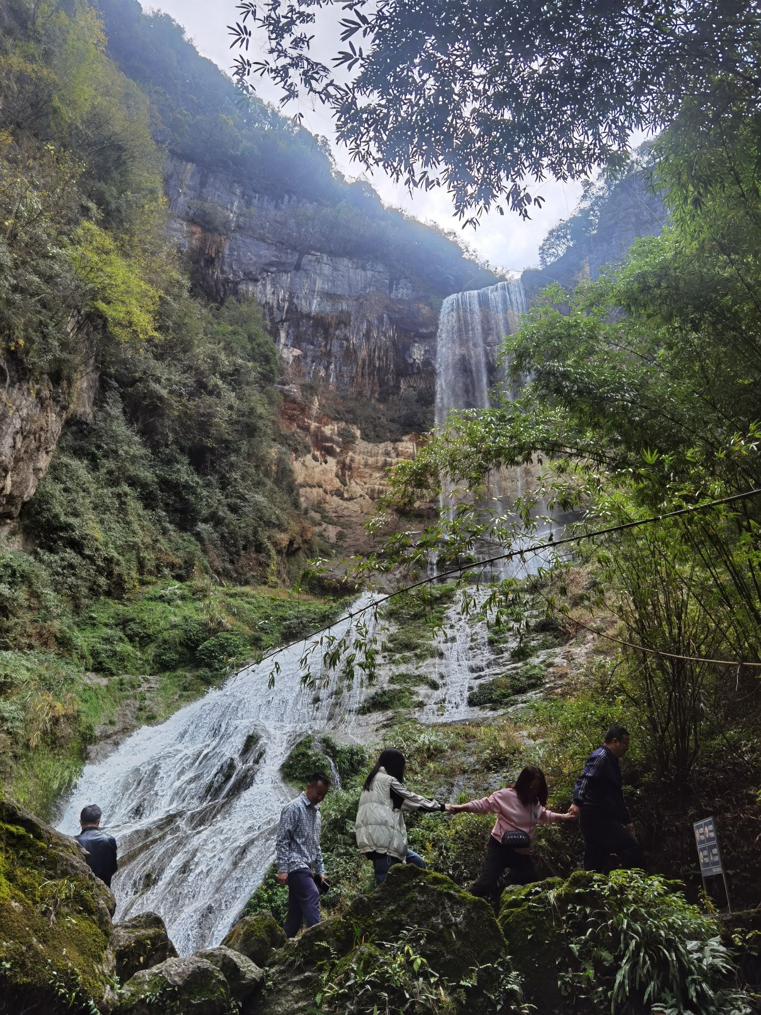 黄连村百年银杏林旅行图片 1