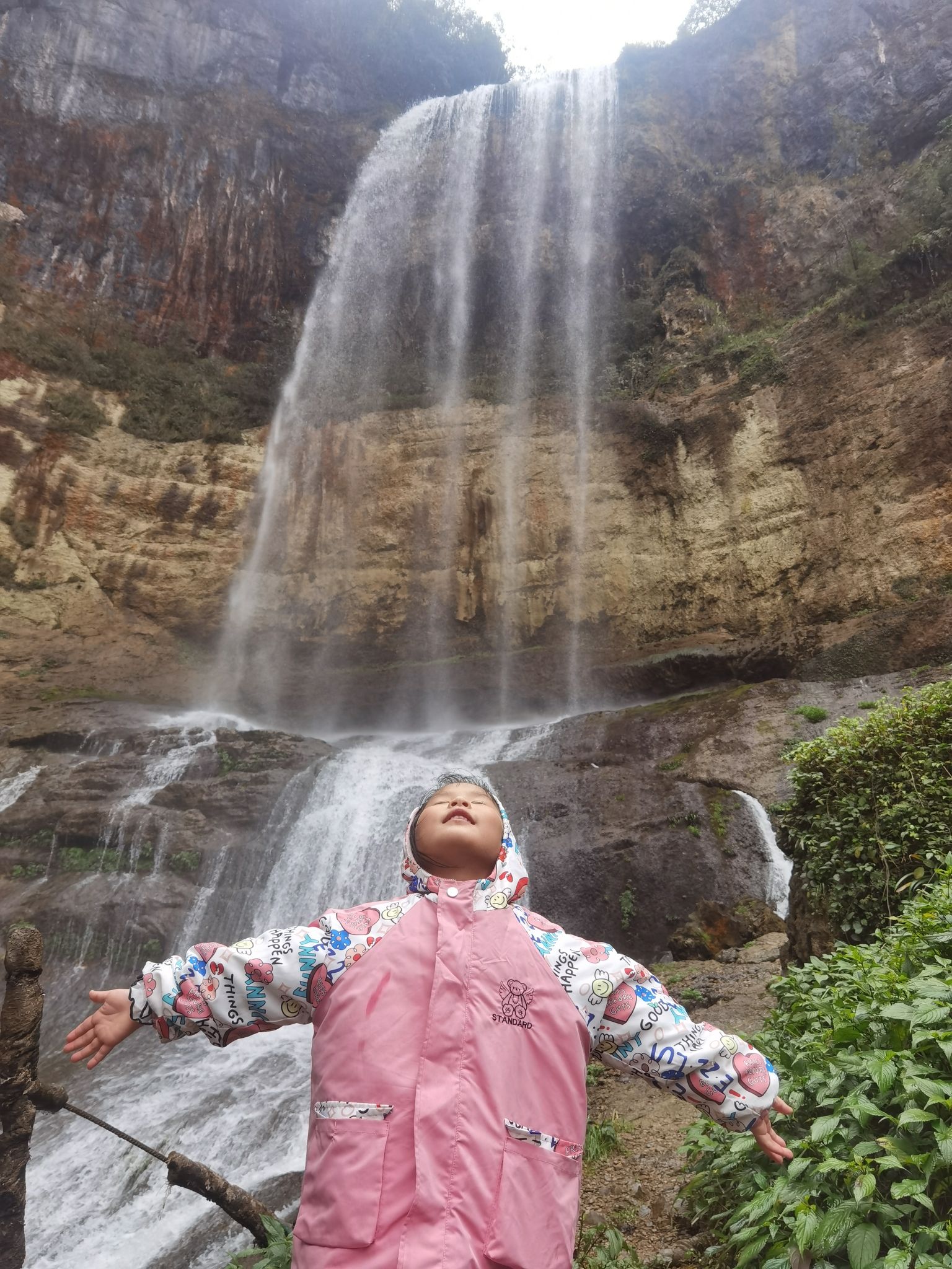 黄连村百年银杏林旅行图片 3