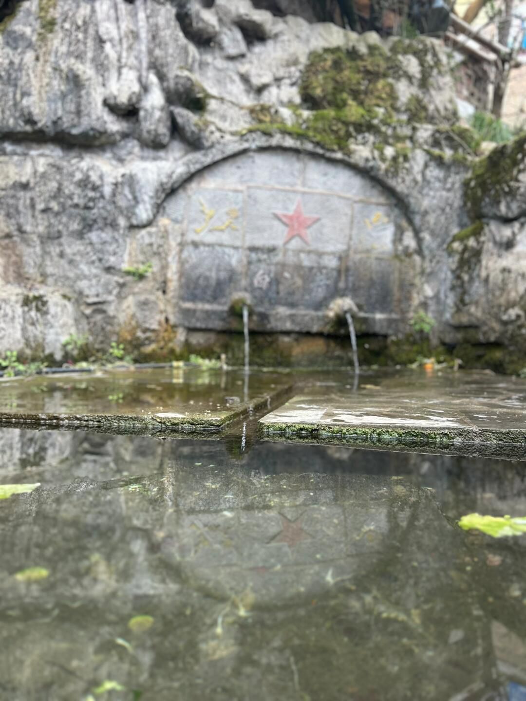 黄连村百年银杏林旅行图片 1