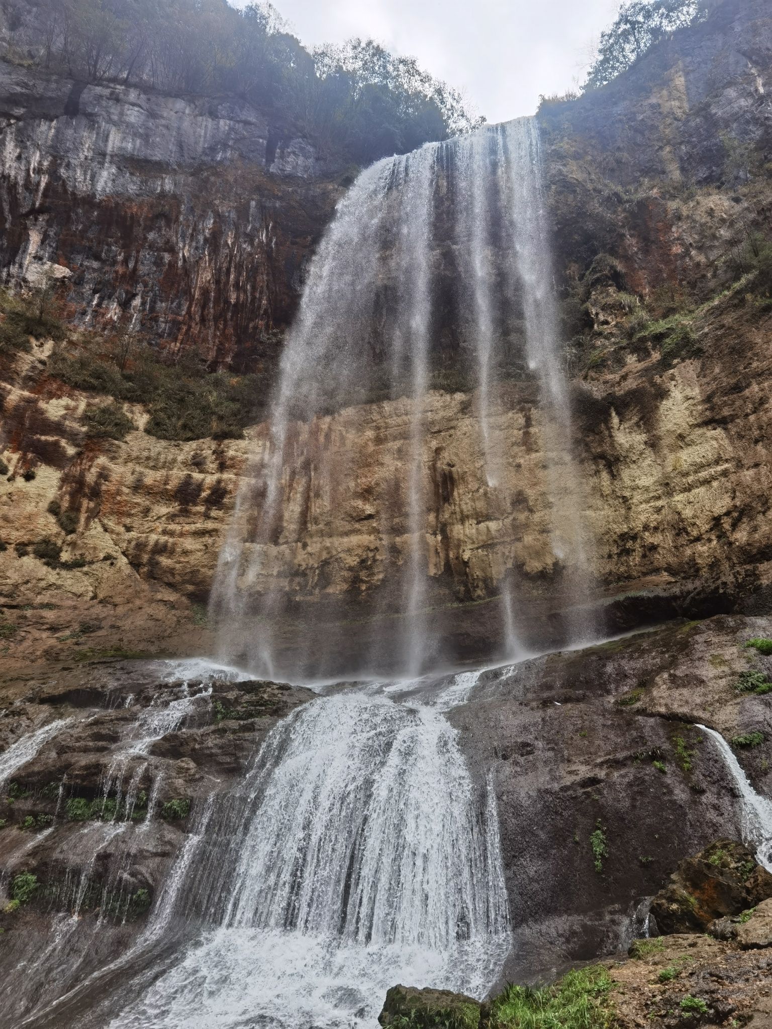 黄连村百年银杏林旅行图片 2