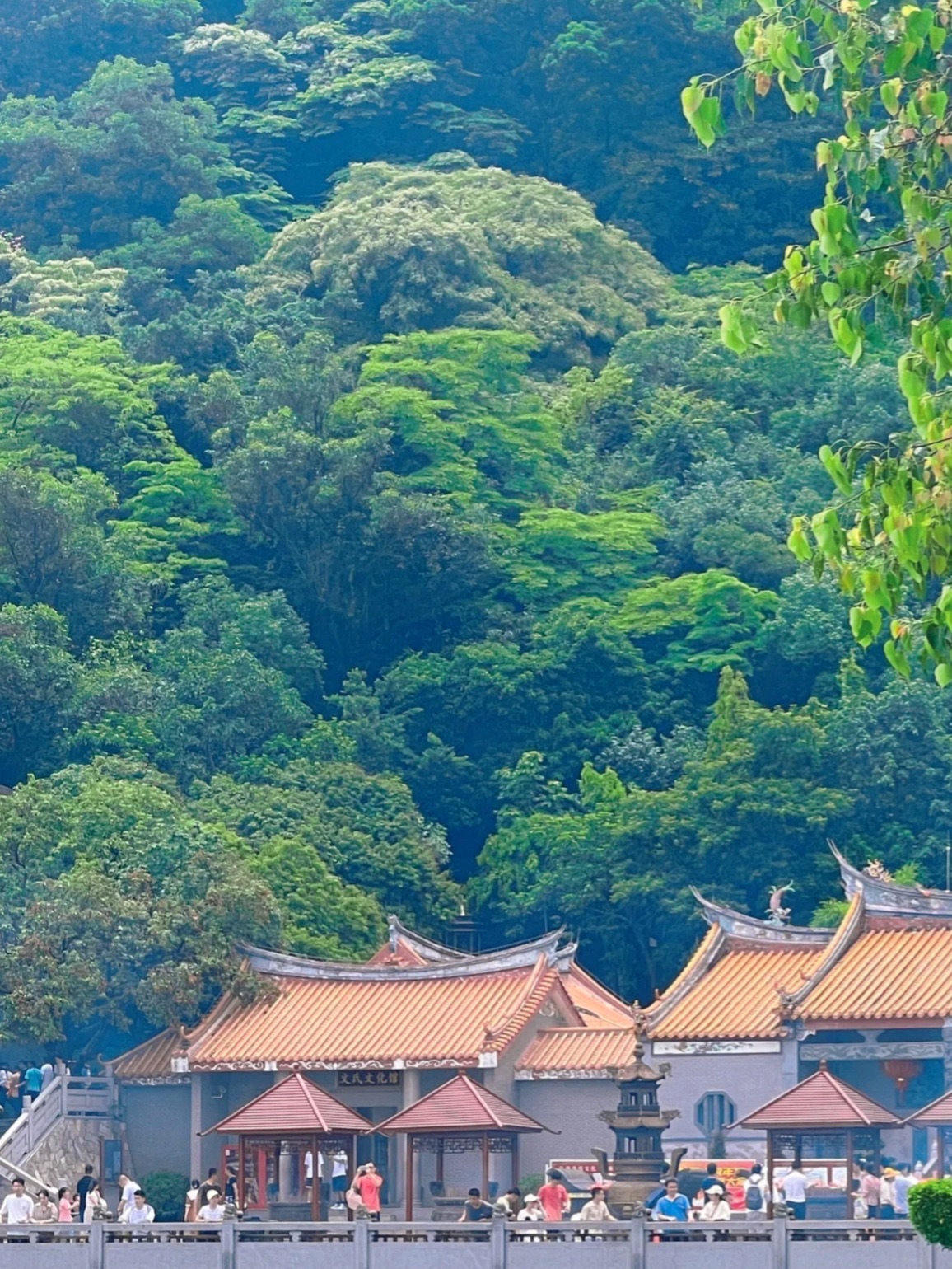 凤凰山旅行图片 2
