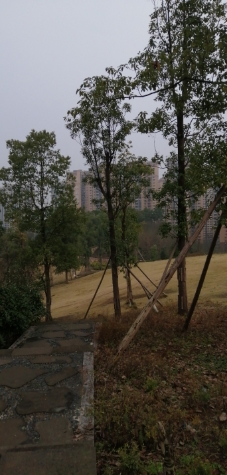 北湖健康主题公园旅行图片 1