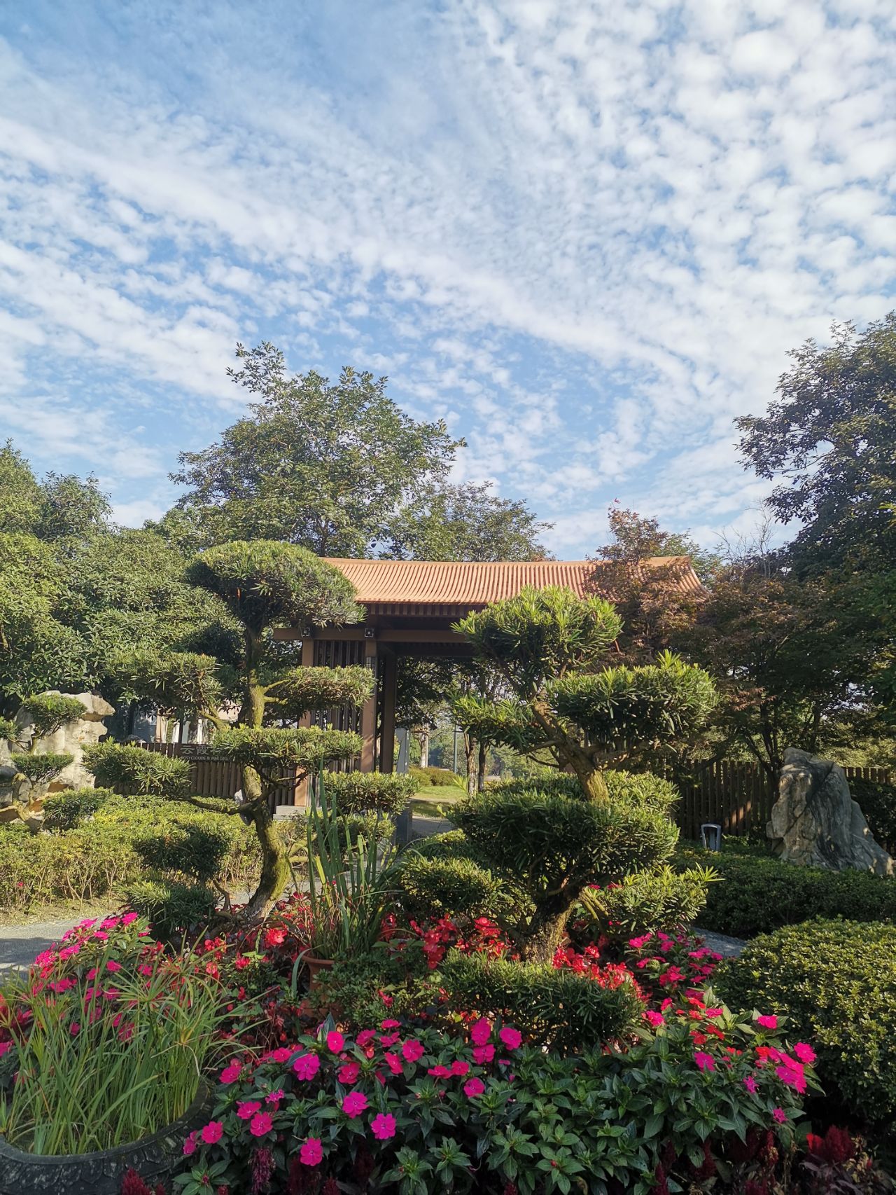 北湖健康主题公园旅行图片 1