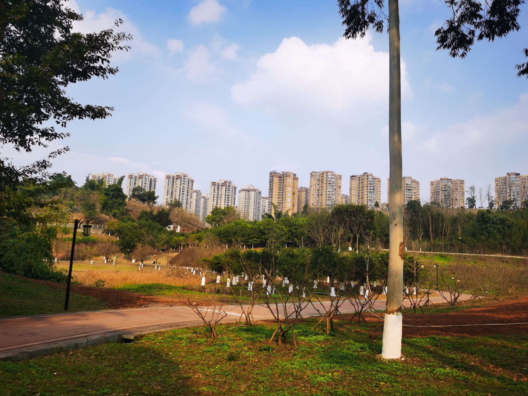 北湖健康主题公园旅行图片 3