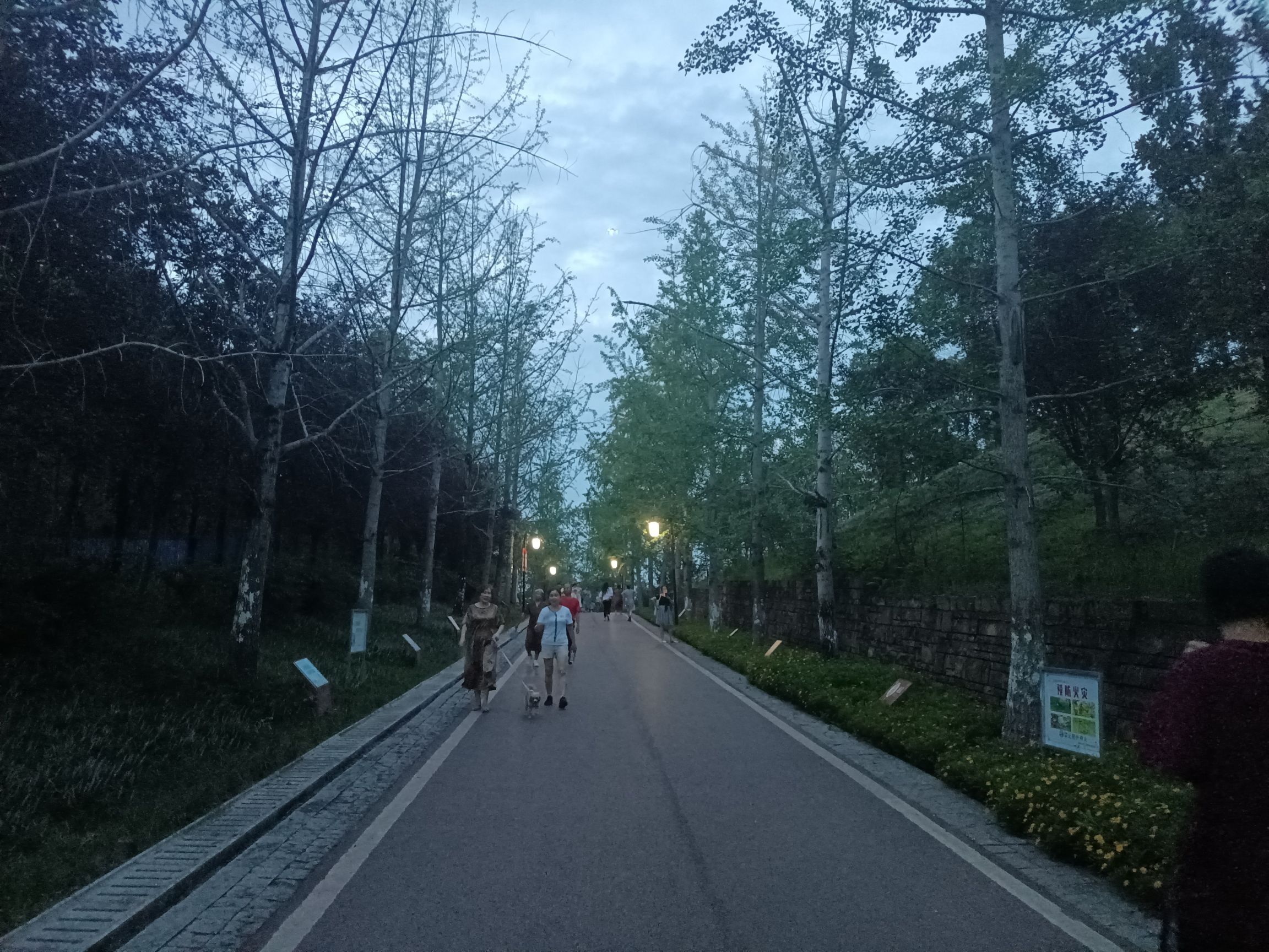 北湖健康主题公园旅行图片 1