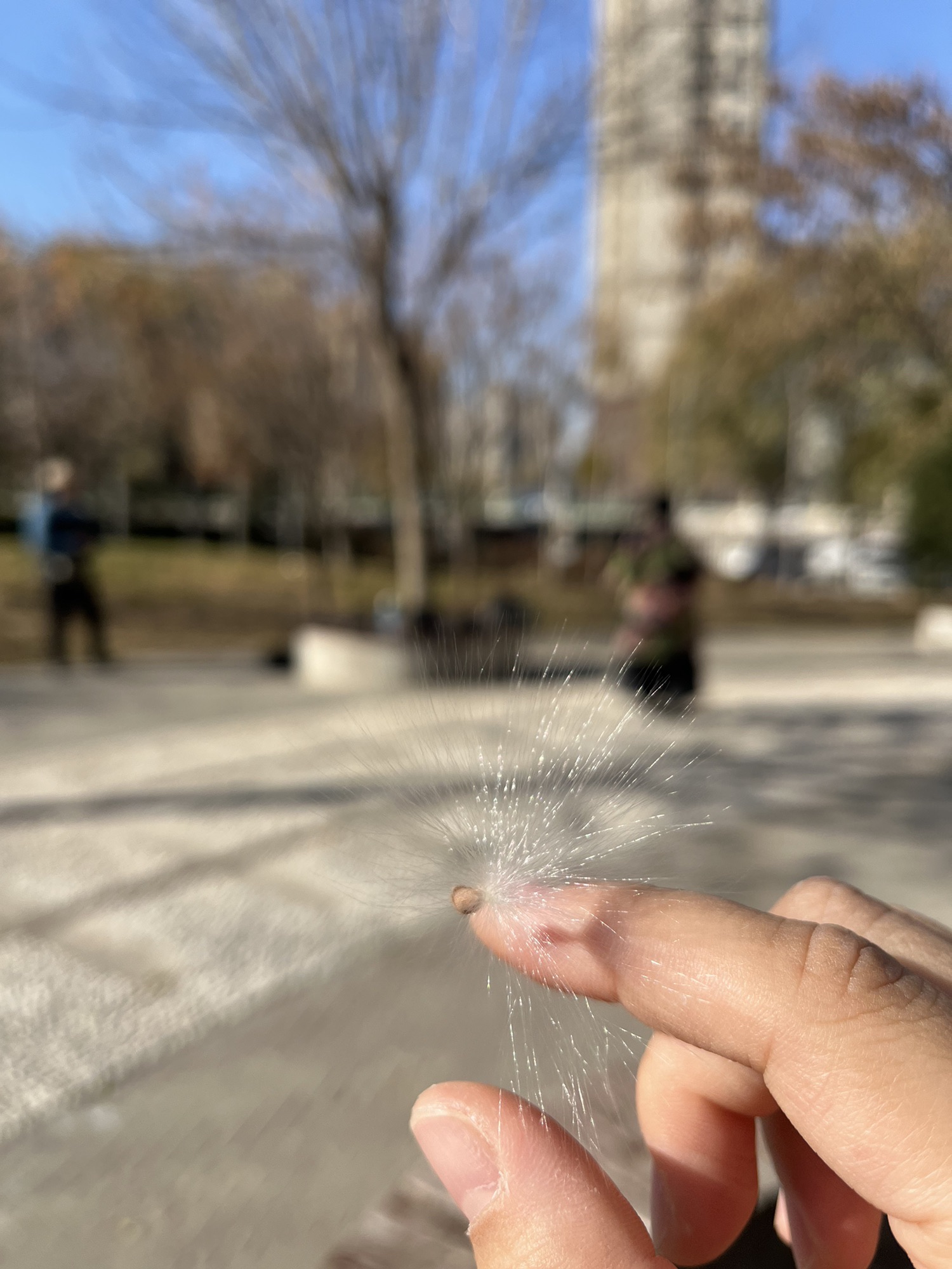 铁路主题公园旅行图片 2