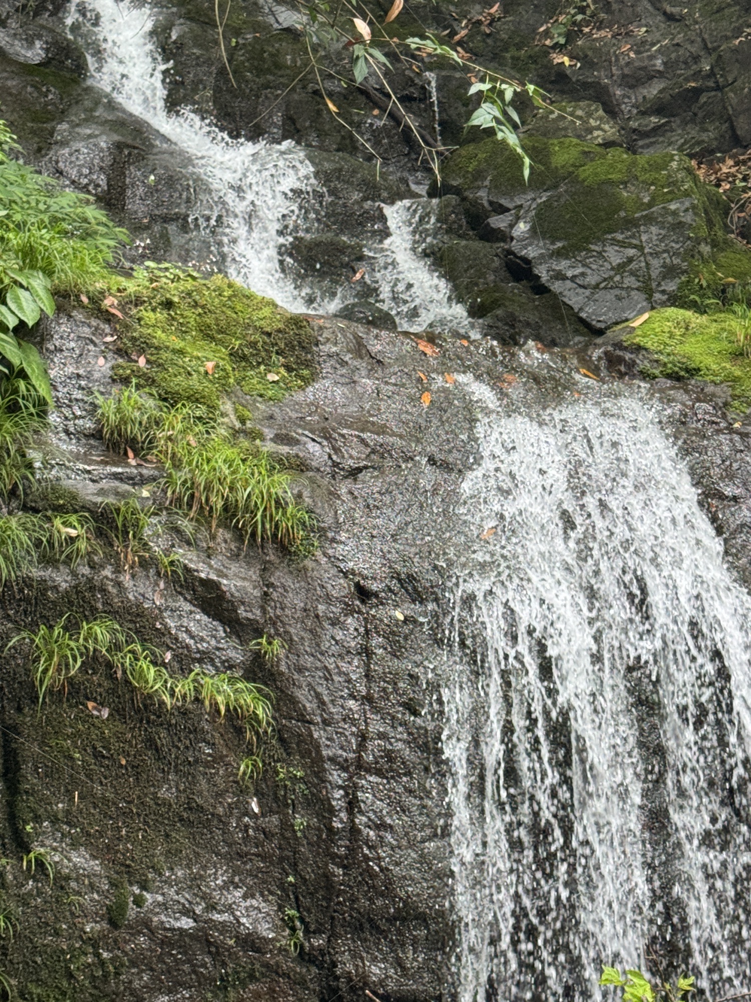 黑洞风景区旅行图片 3