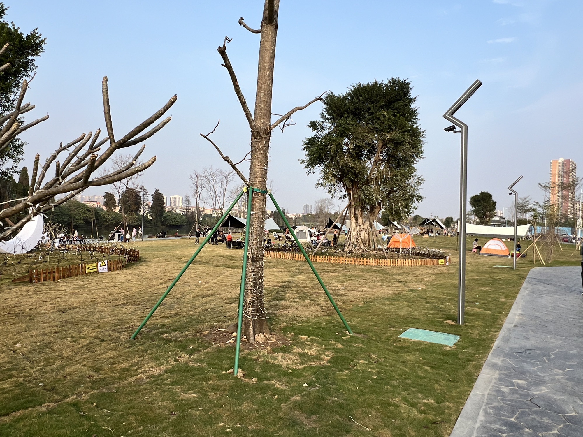 伦教滨江公园旅行图片 3