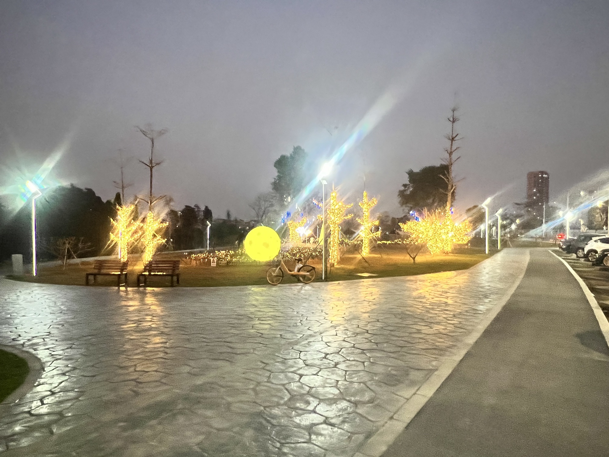 伦教滨江公园旅行图片 1