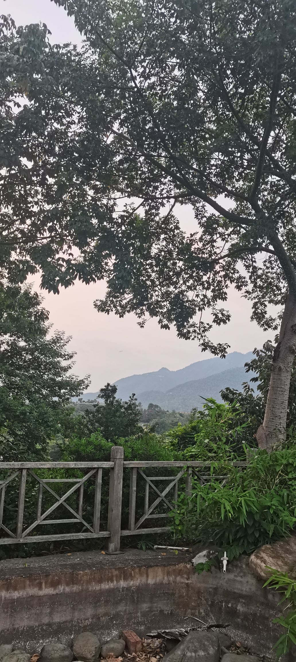 莲花山公园旅行图片 2