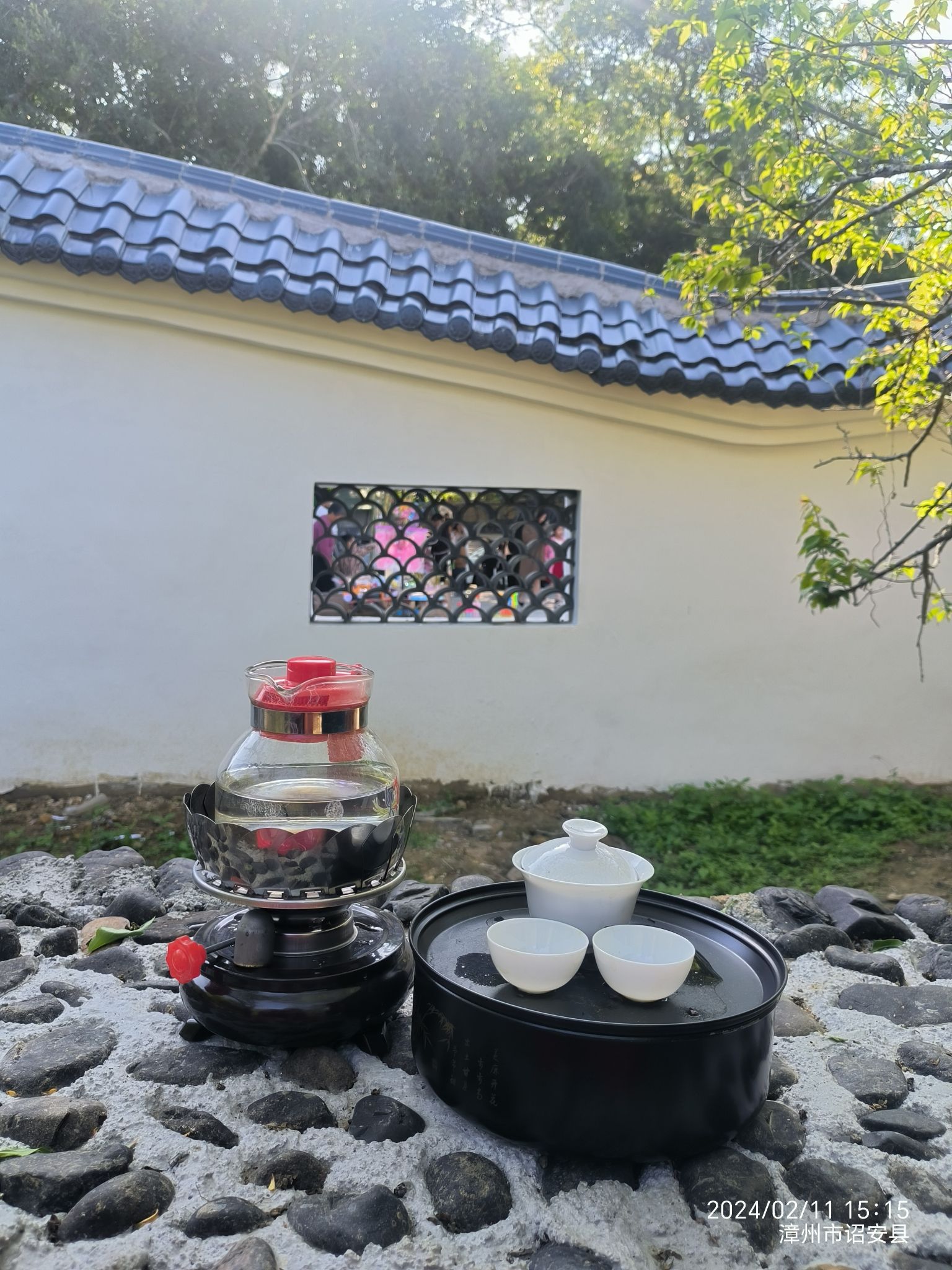 红星乡梅花公园旅行图片 2