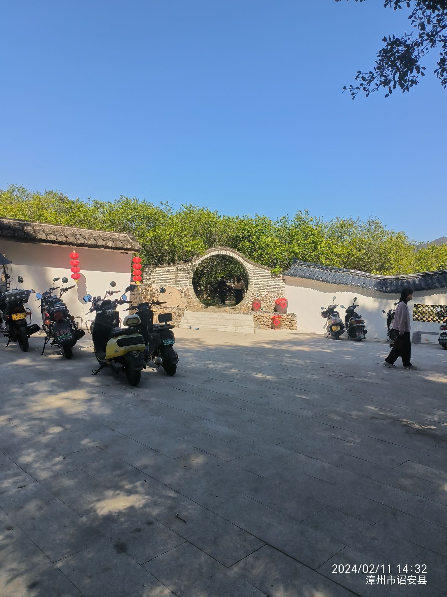红星乡梅花公园旅行图片 1