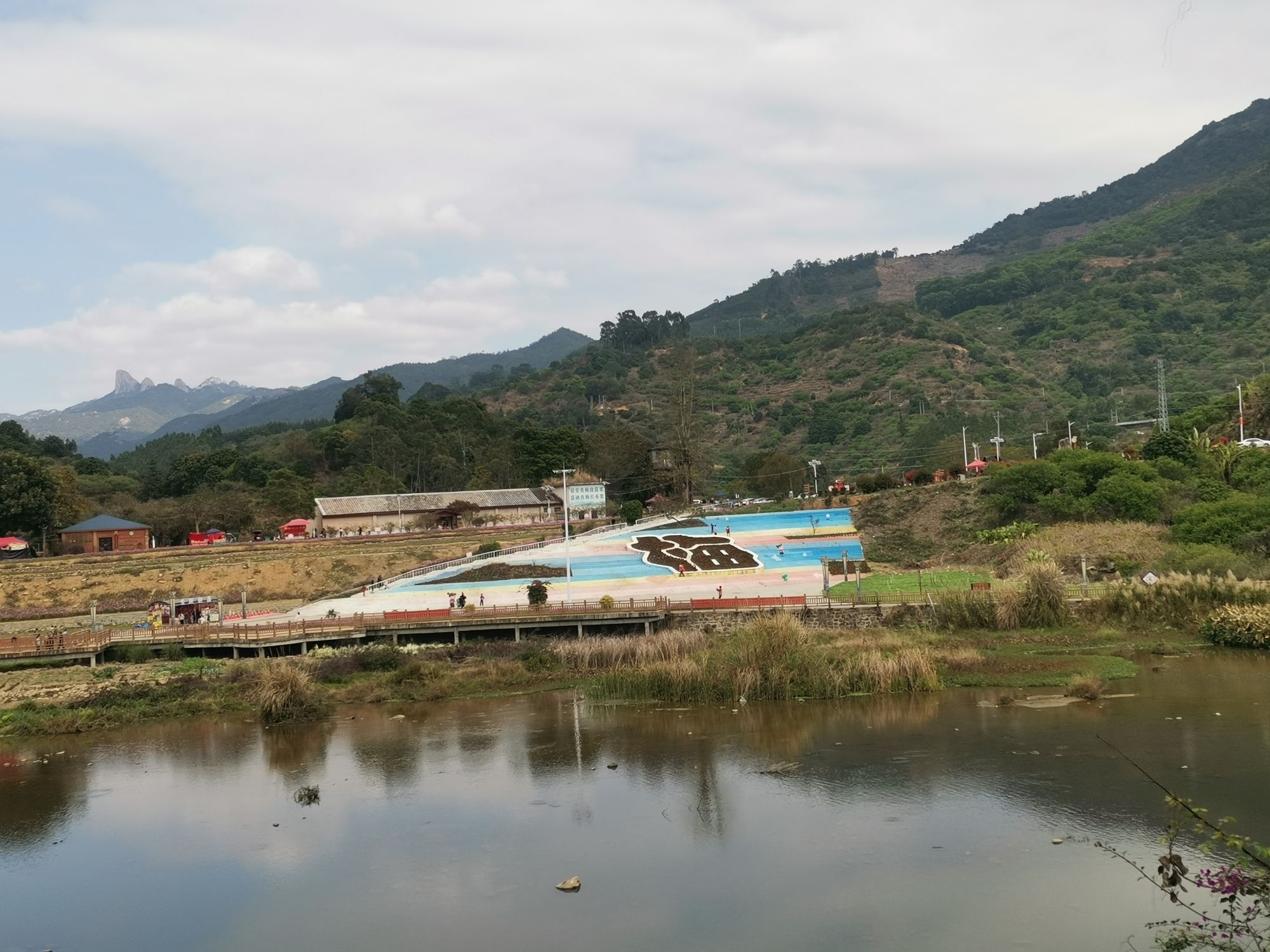 红星乡梅花公园旅行图片 3