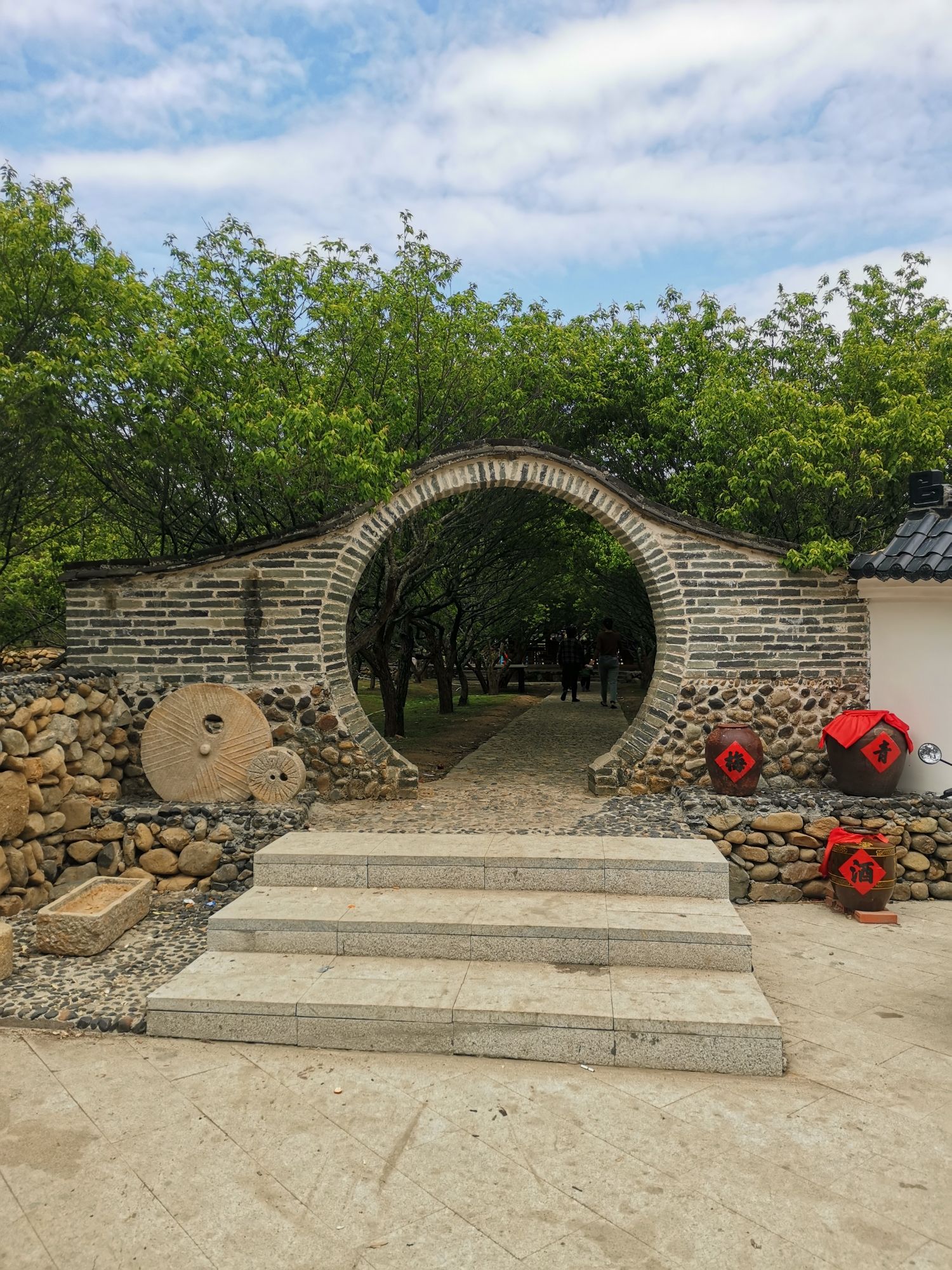 红星乡梅花公园旅行图片 2