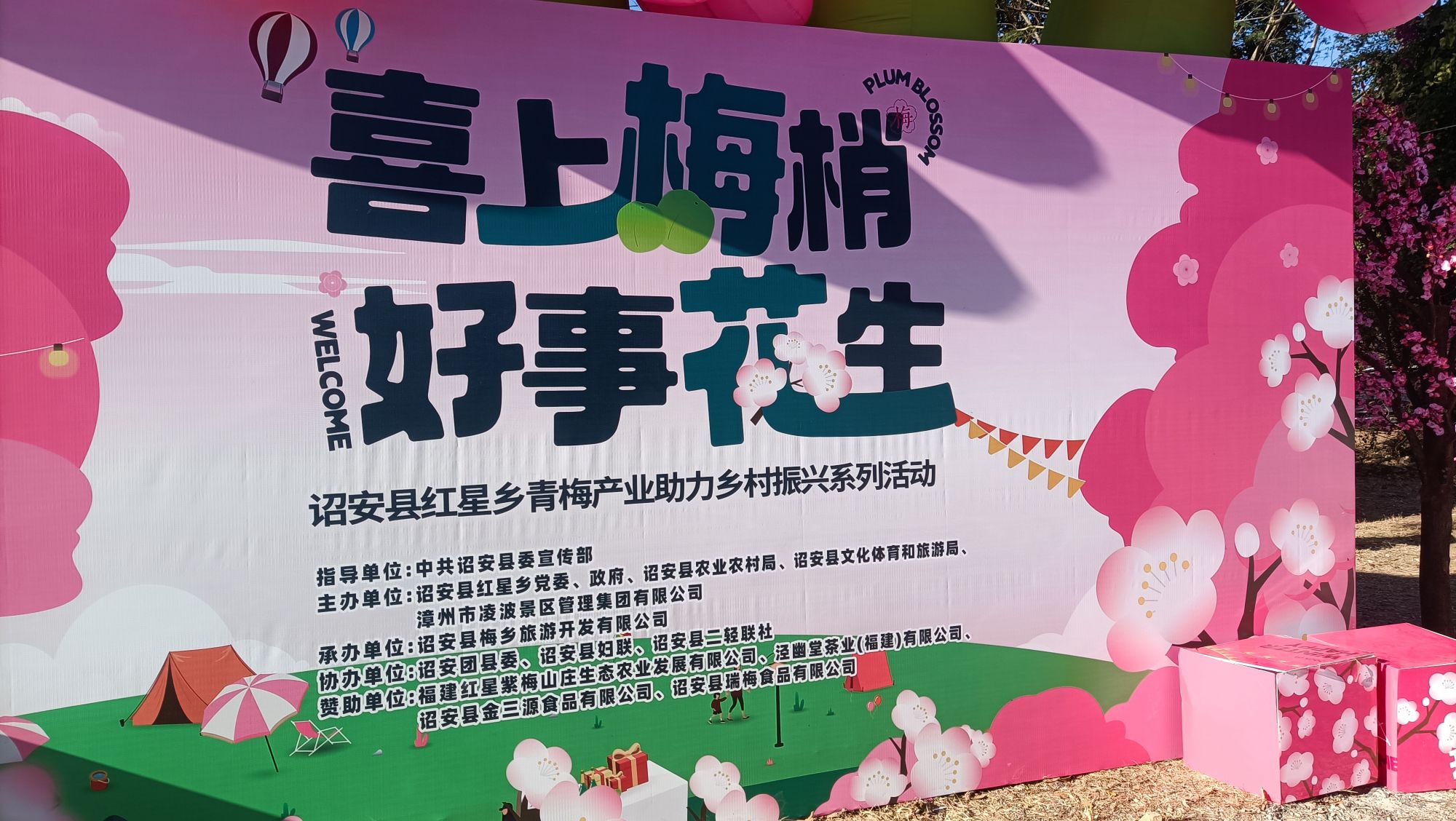 红星乡梅花公园旅行图片 1