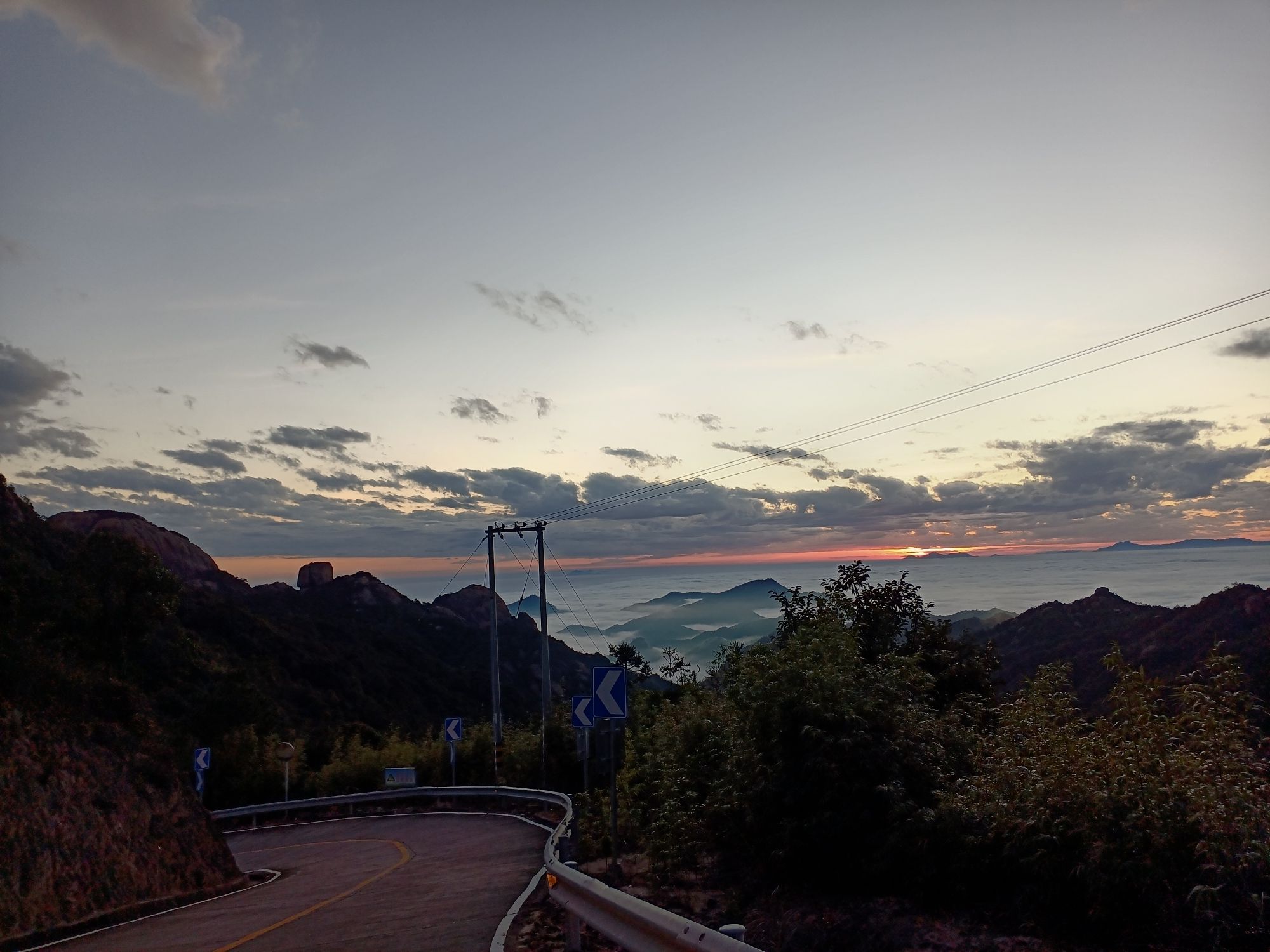 红星乡梅花公园旅行图片 2