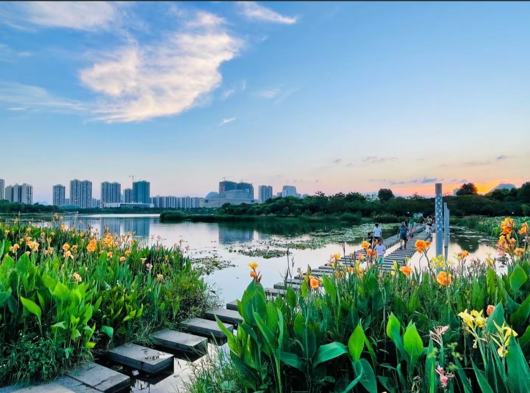 爱莲湖公园