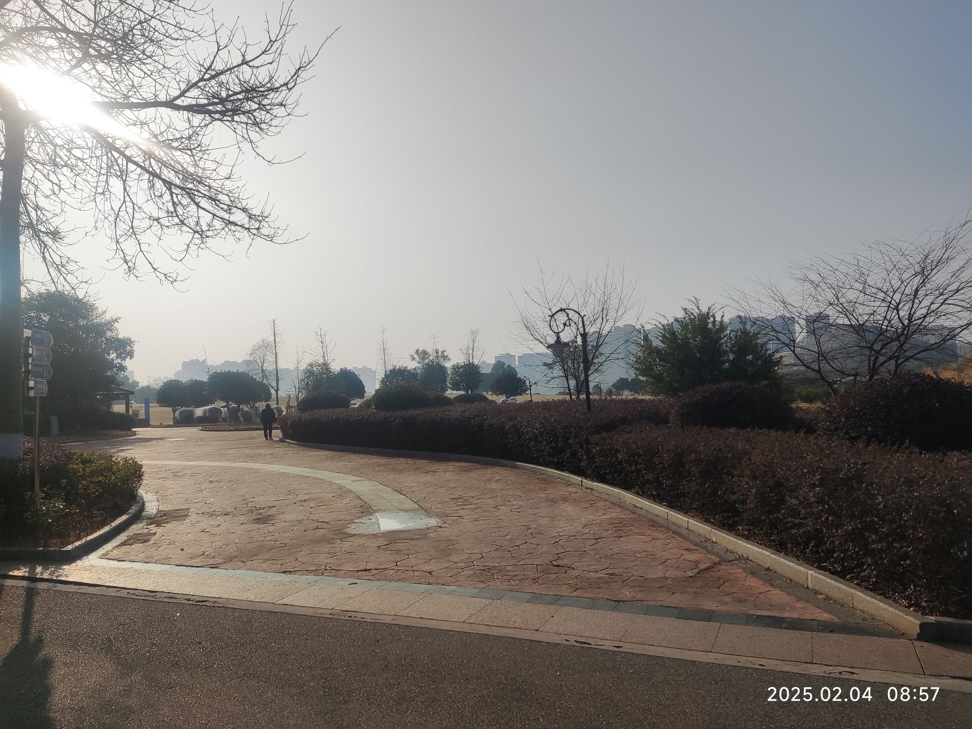 爱莲湖公园旅行图片 2