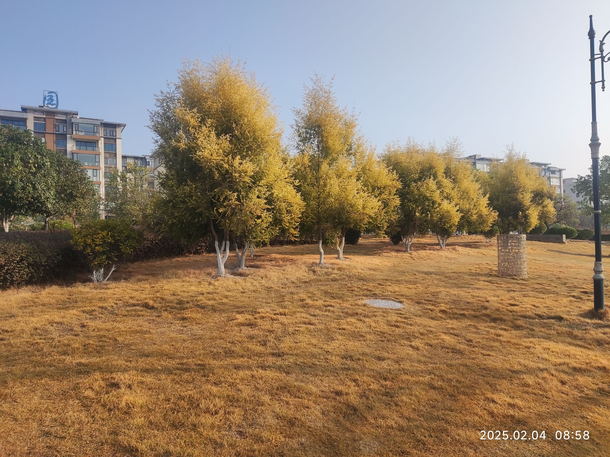 爱莲湖公园旅行图片 1