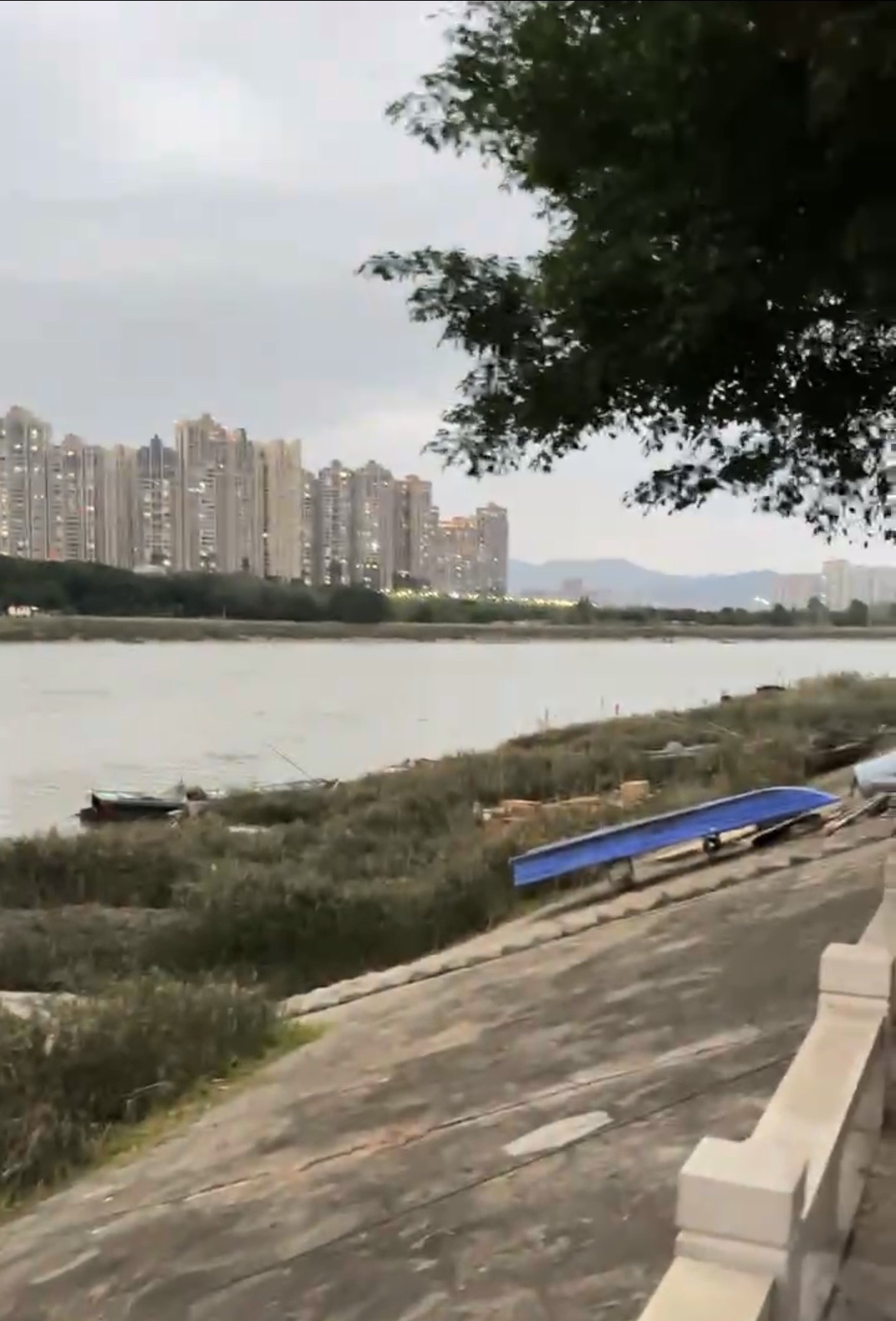北滨江公园汀洲园旅行图片 3