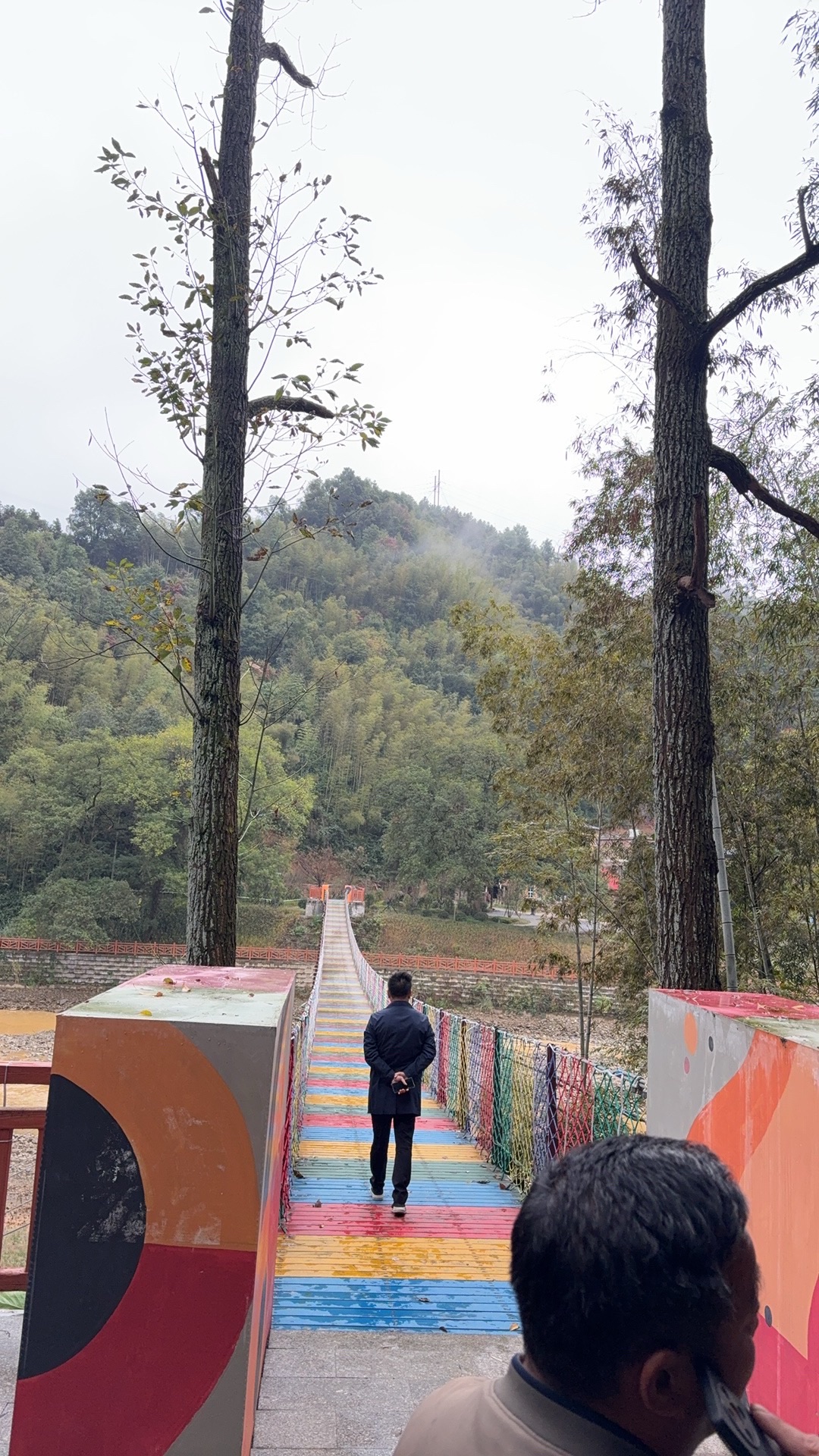 金洞楠木主题公园旅行图片 1