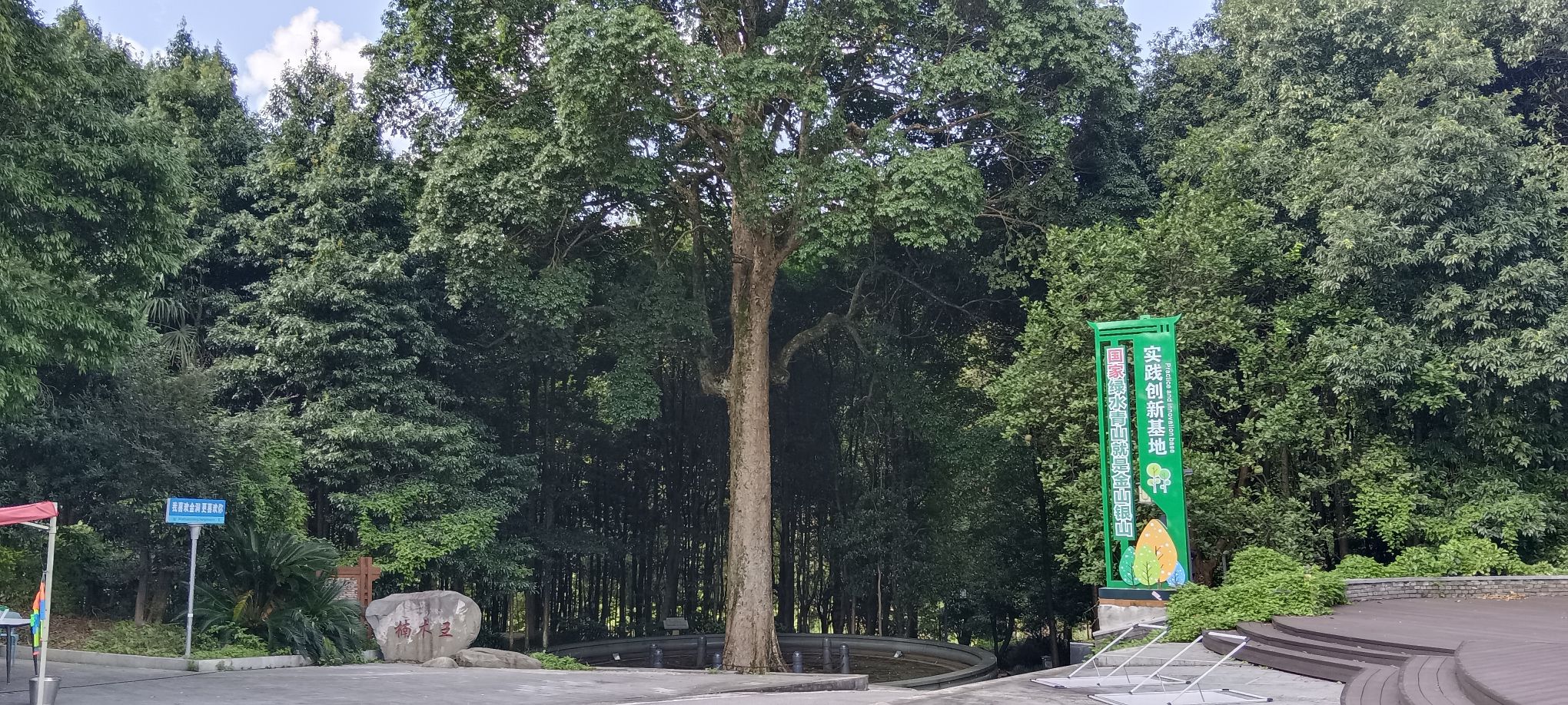 金洞楠木主题公园旅行图片 3