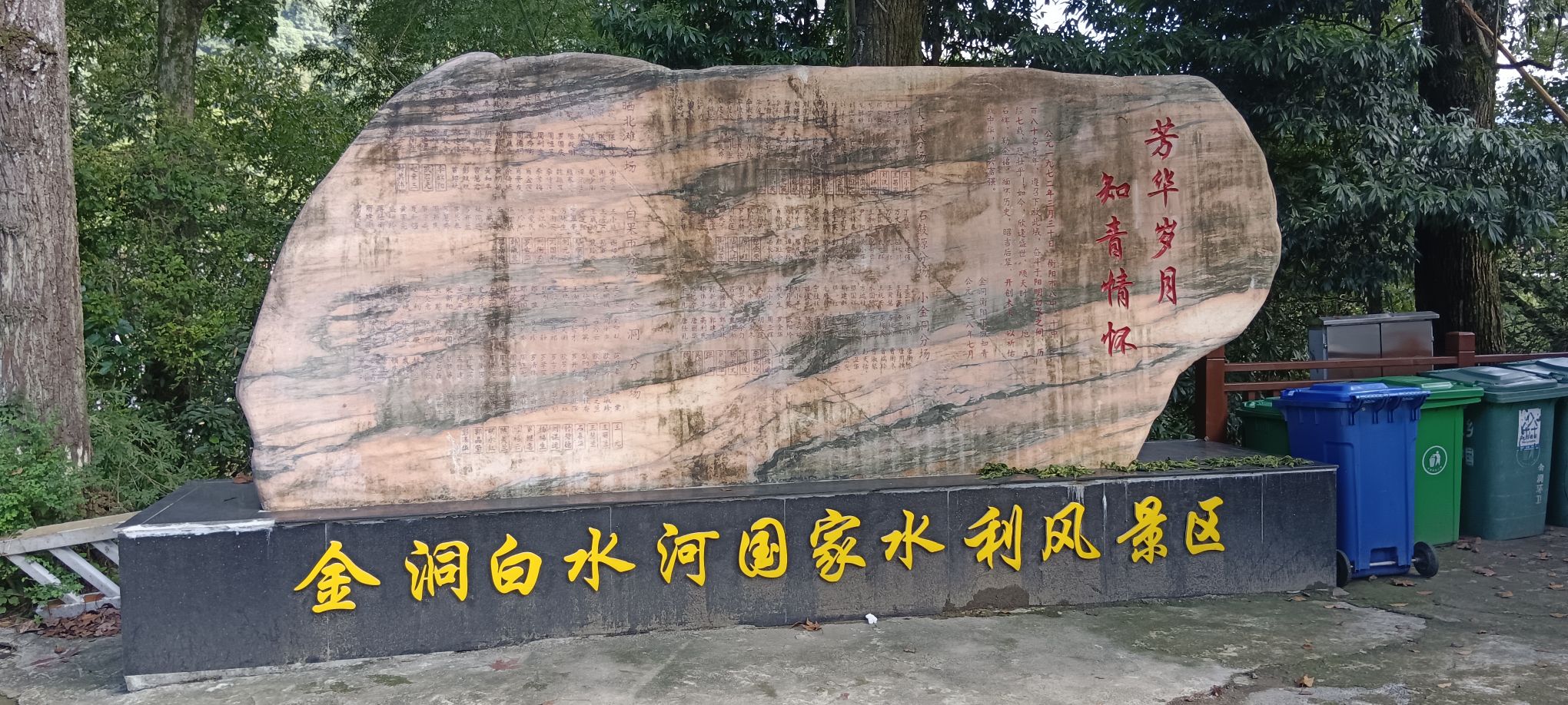 金洞楠木主题公园旅行图片 1