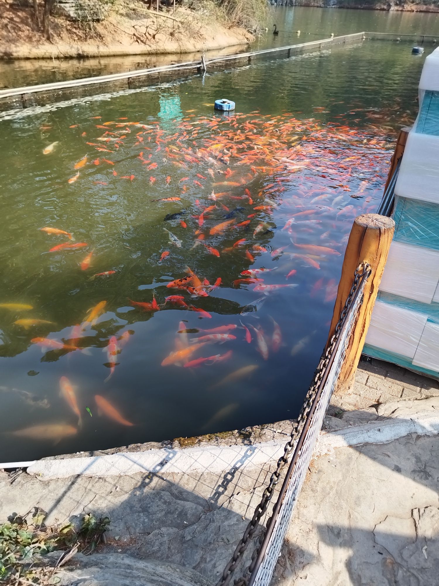 万福公园旅行图片 2
