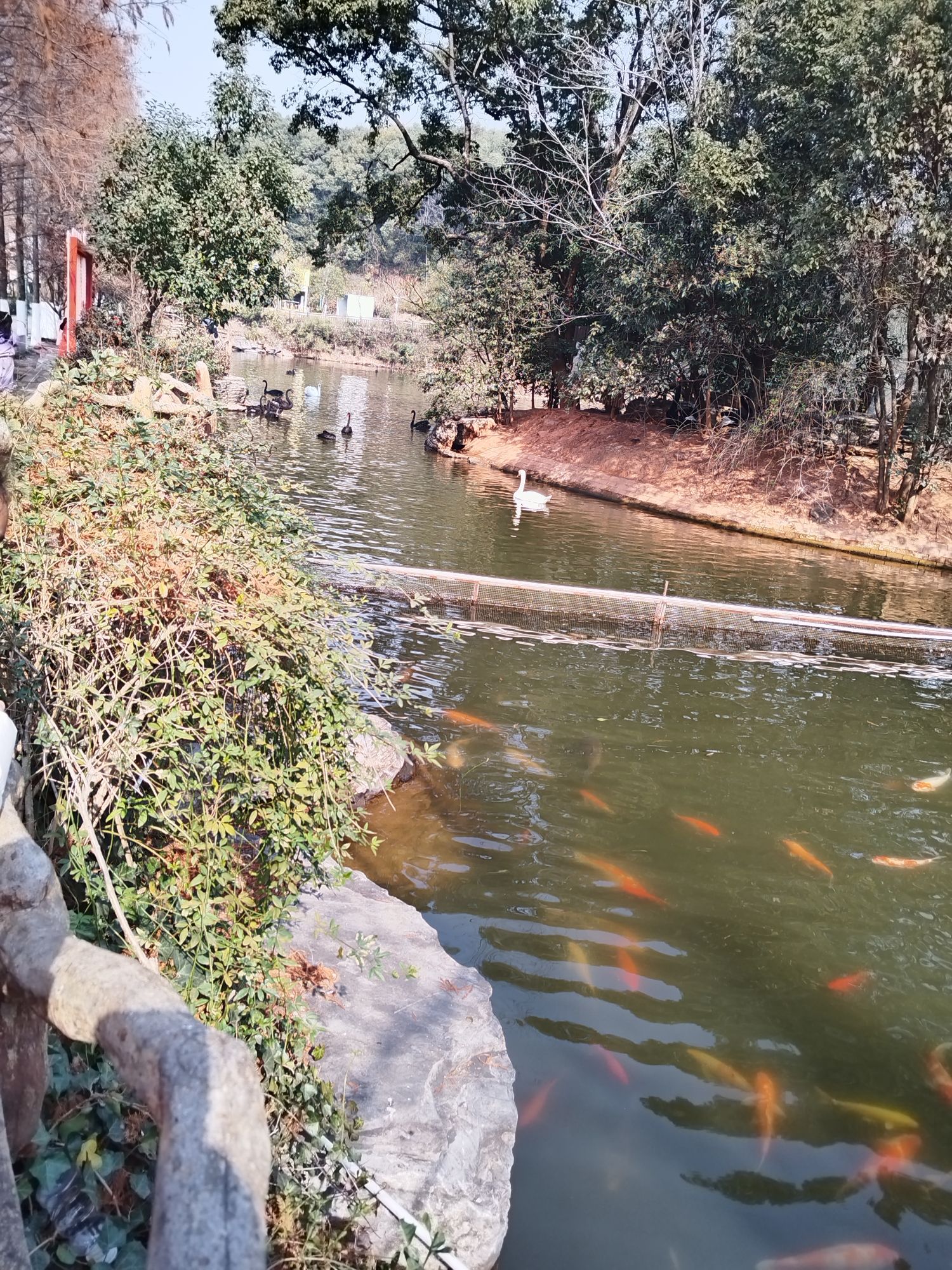 万福公园旅行图片 1