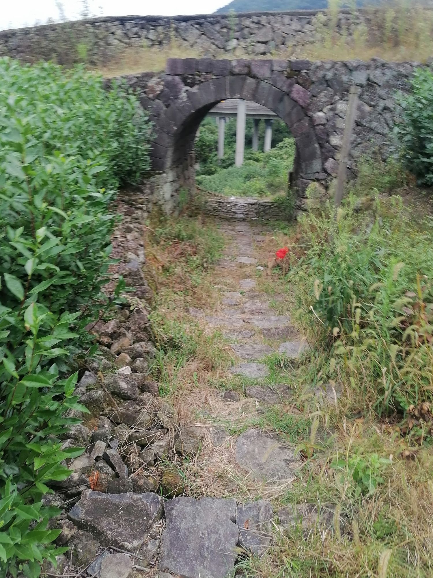 分水关旅行图片 2