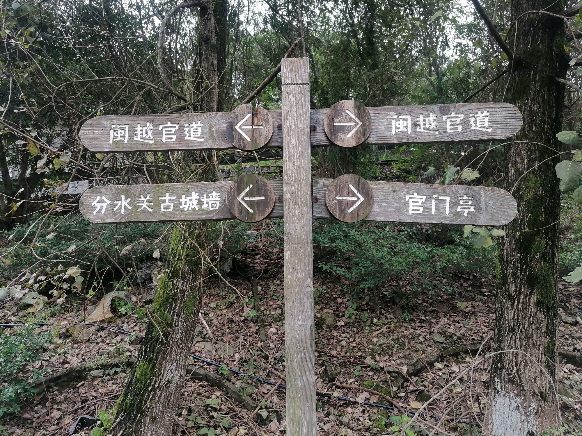 分水关旅行图片 1