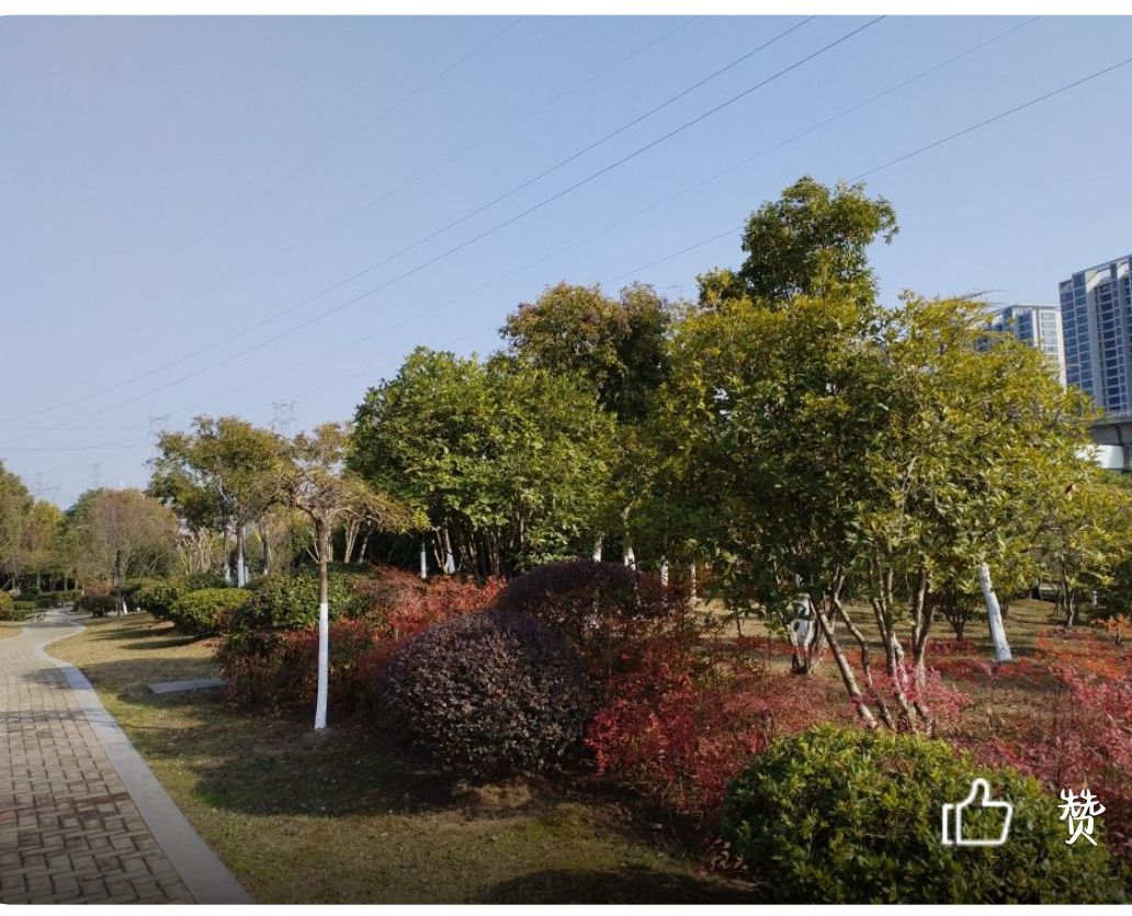 合肥淮北路公园旅行图片 1