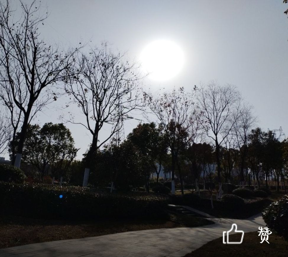合肥淮北路公园旅行图片 2