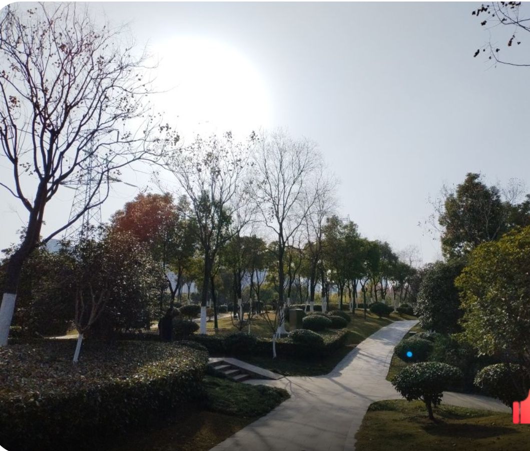 合肥淮北路公园旅行图片 3