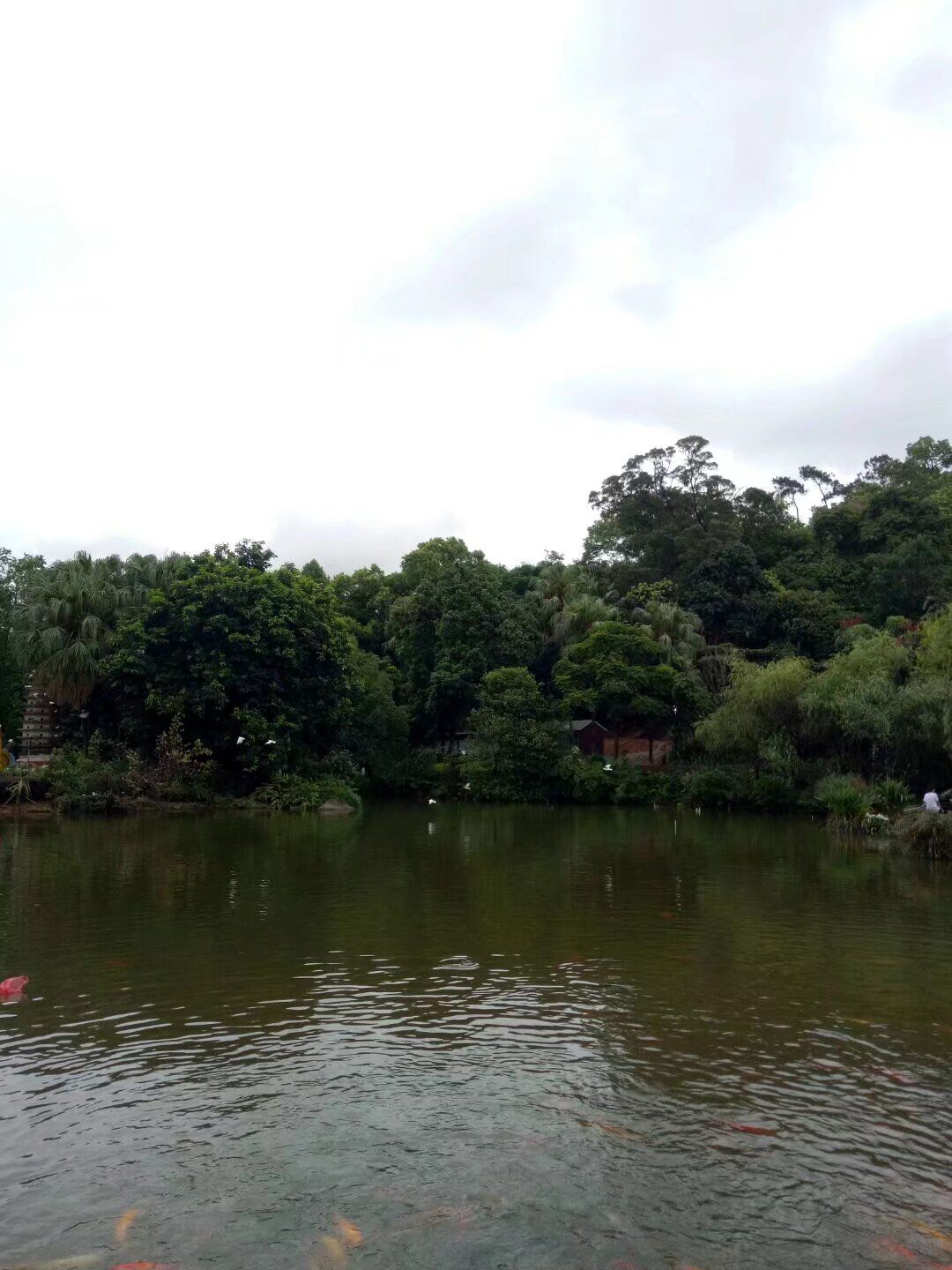 北园公园旅行图片 3