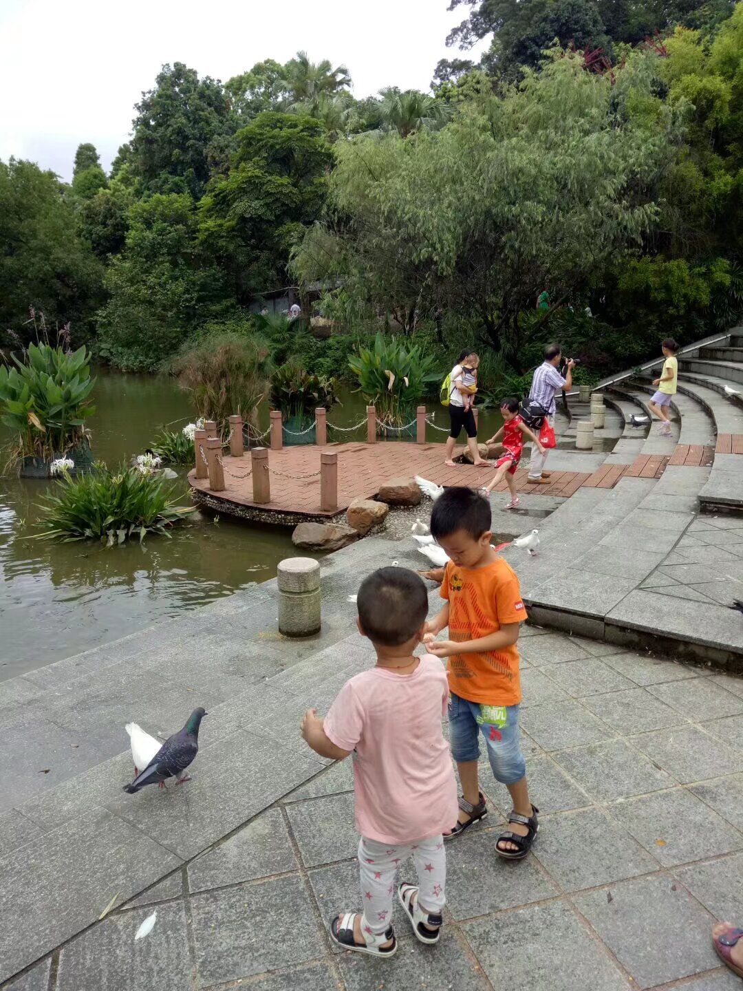 北园公园旅行图片 2