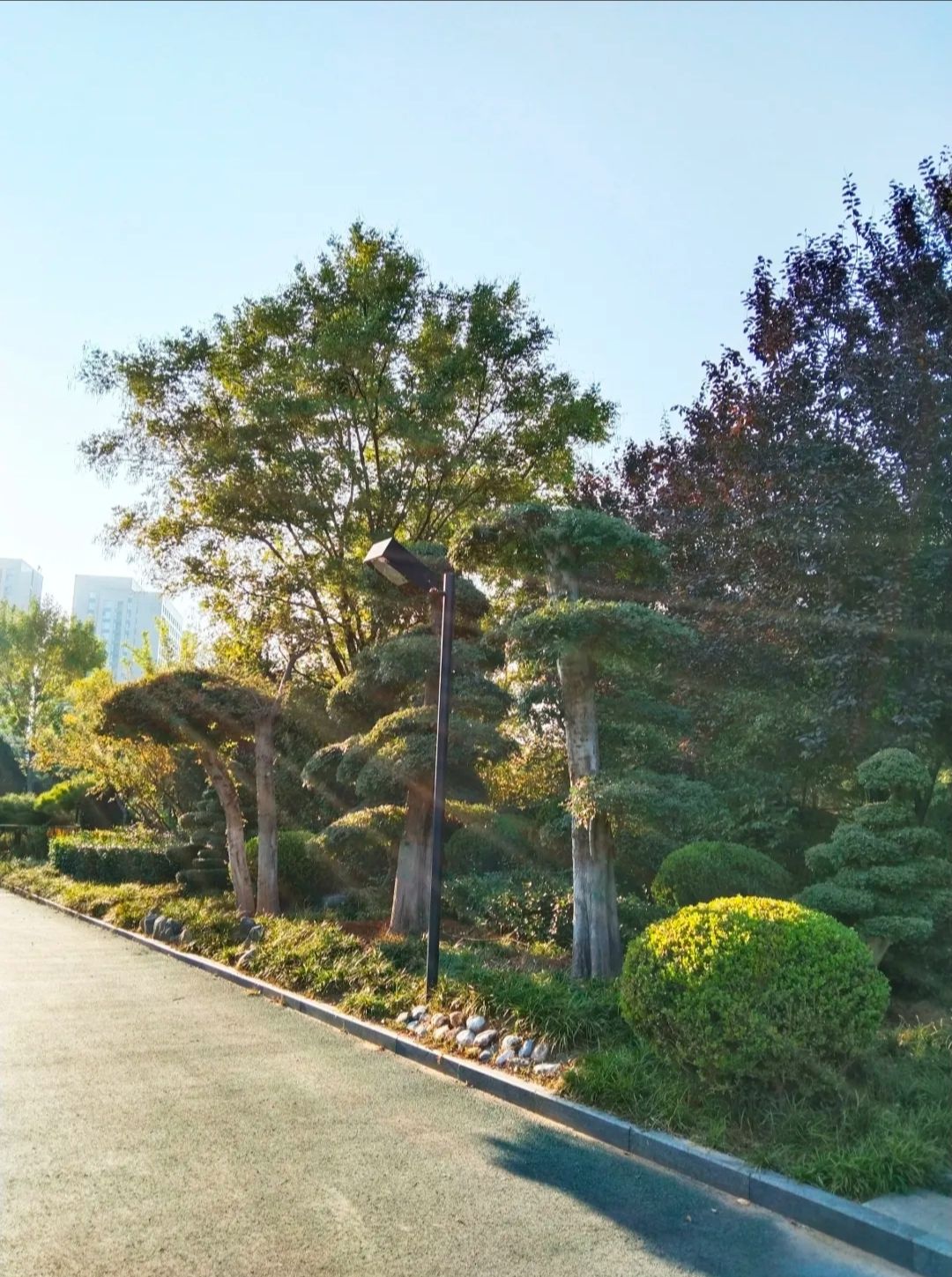 舜奥公园旅行图片 1