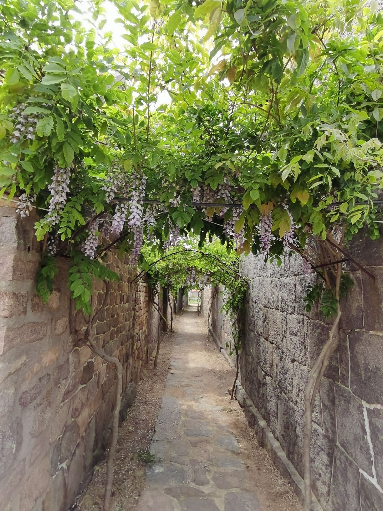 留村元代古墓群旅行图片 2