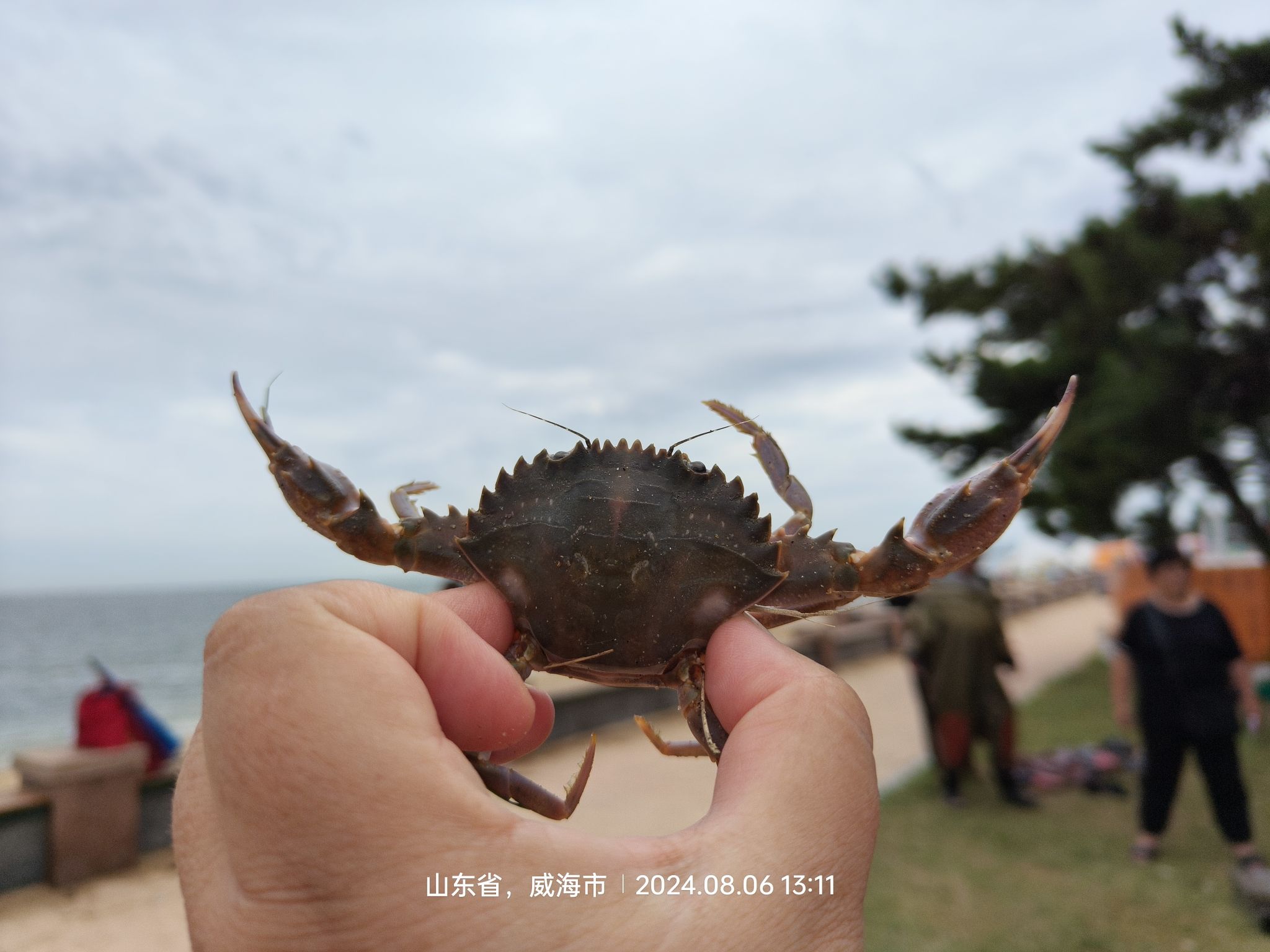 滨海公园旅行图片 3