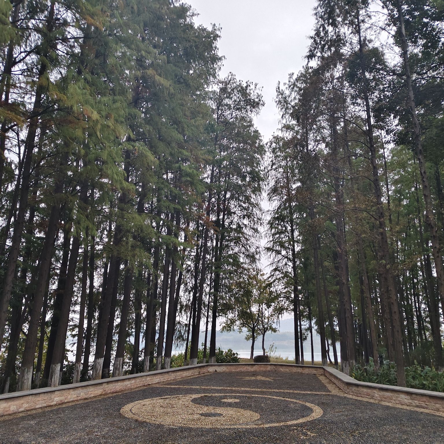 武东公园旅行图片 3