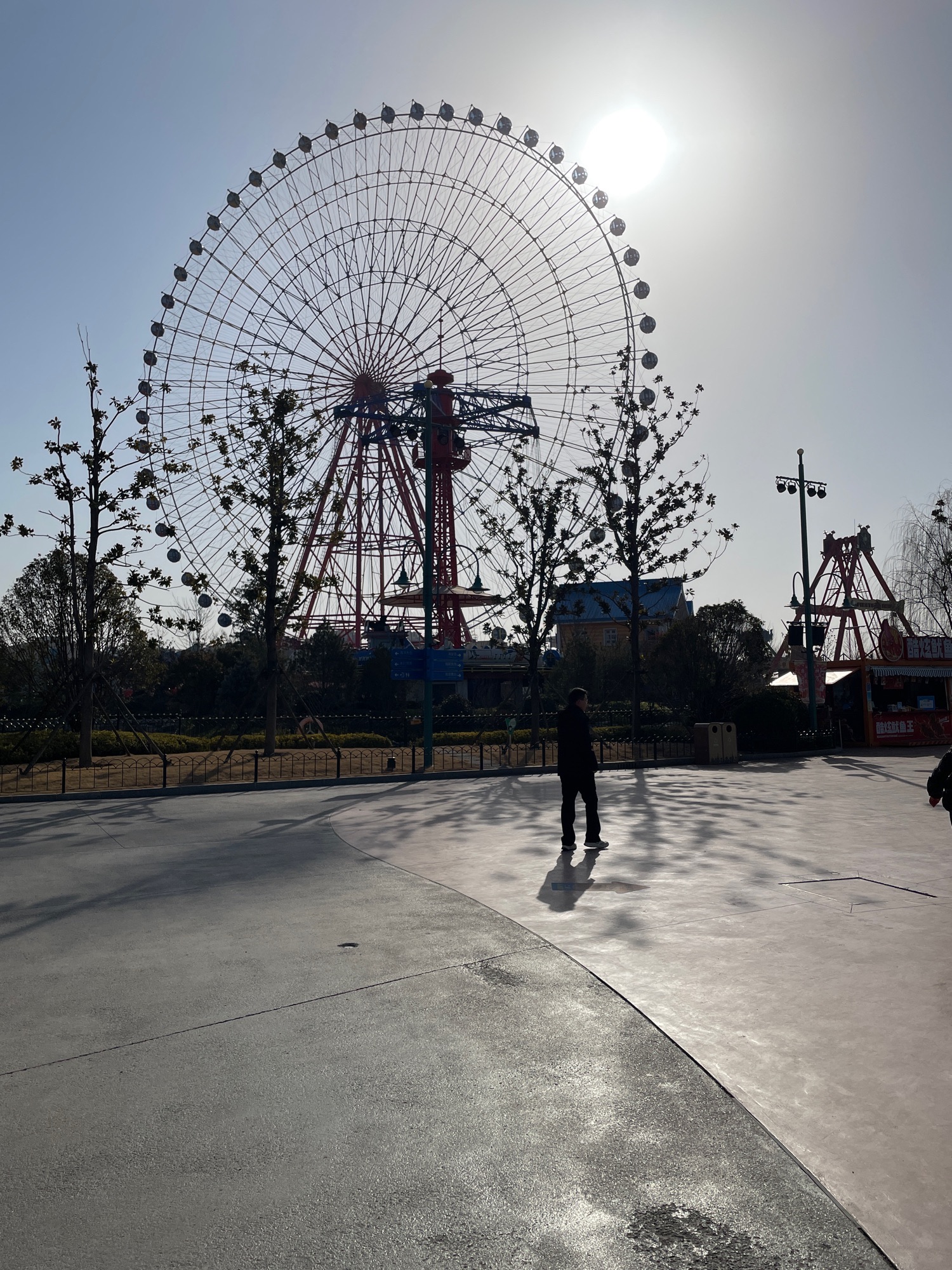郑州海昌海洋公园旅行图片 3
