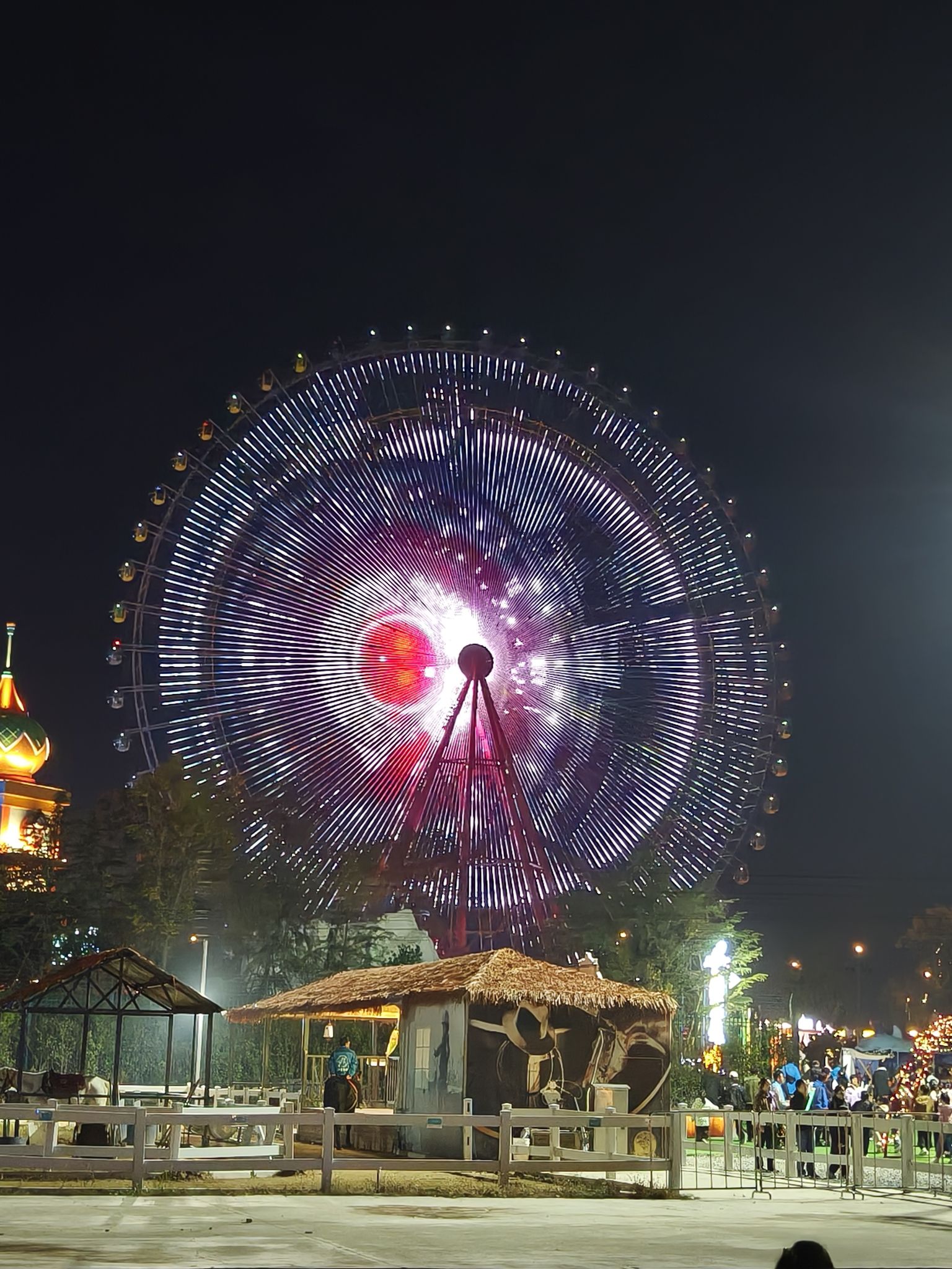 郑州海昌海洋公园旅行图片 3