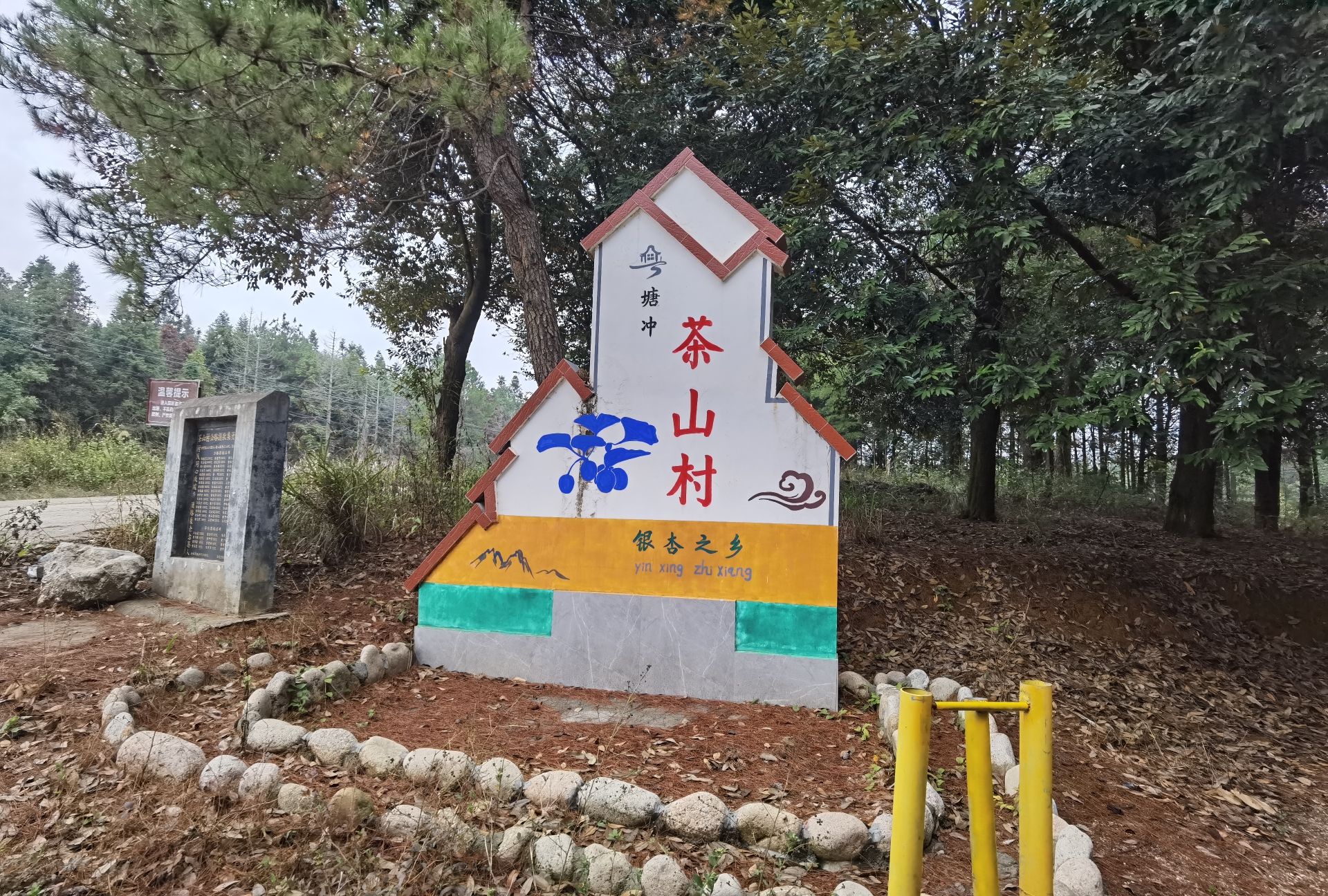 百亩银杏园旅行图片 1