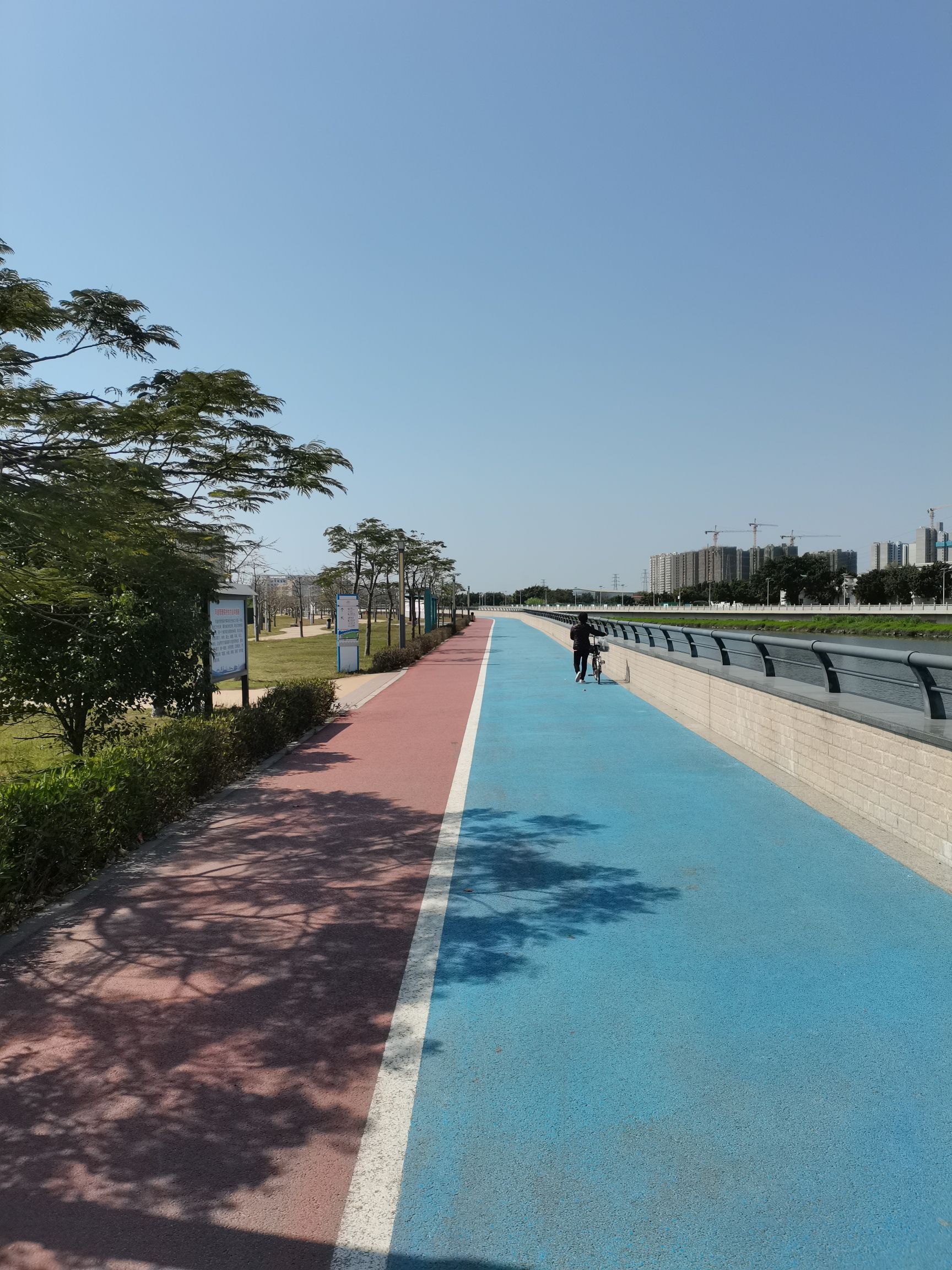 大港公园旅行图片 3
